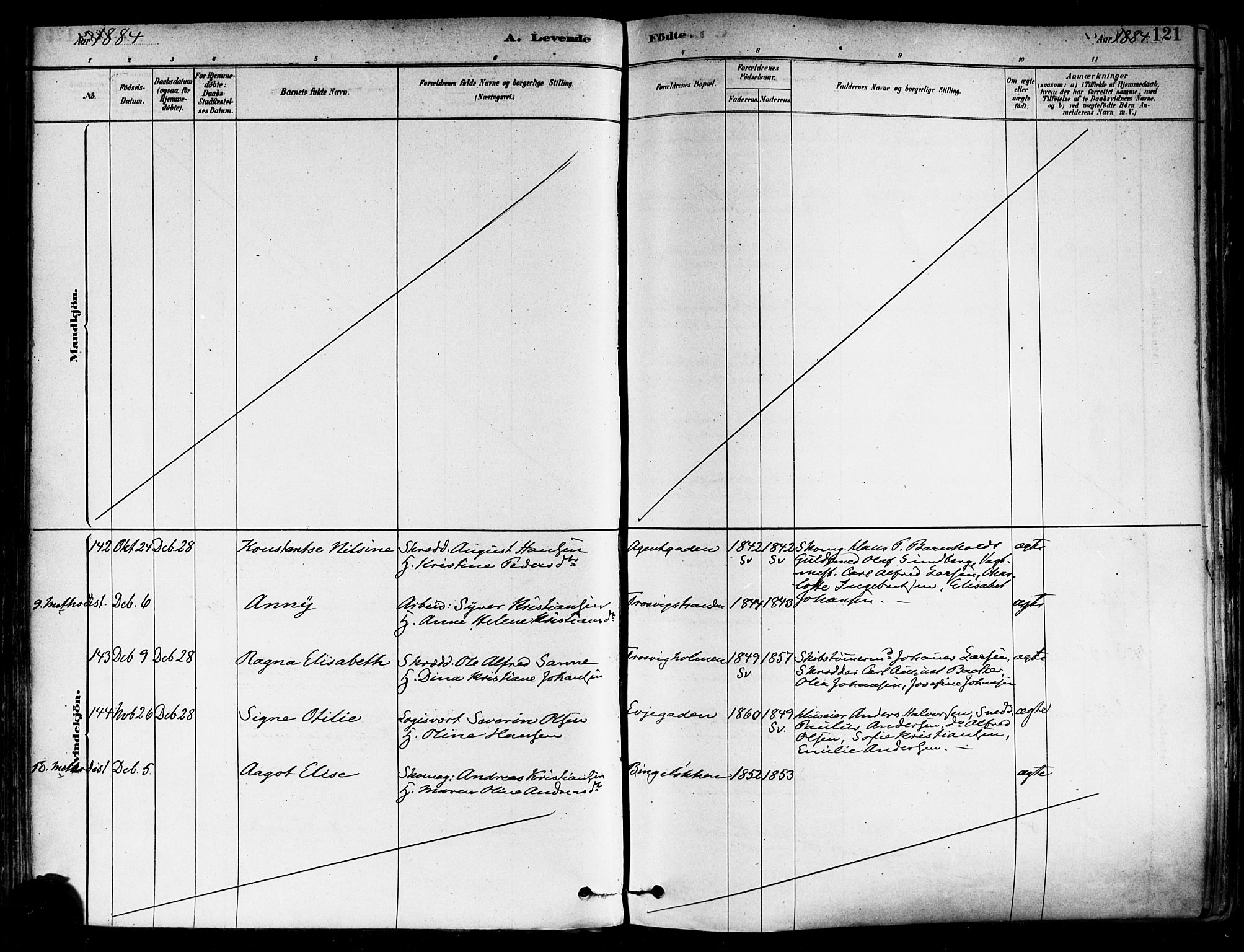 Fredrikstad domkirkes prestekontor Kirkebøker, AV/SAO-A-10906/F/Fa/L0002: Parish register (official) no. 2, 1878-1894, p. 121