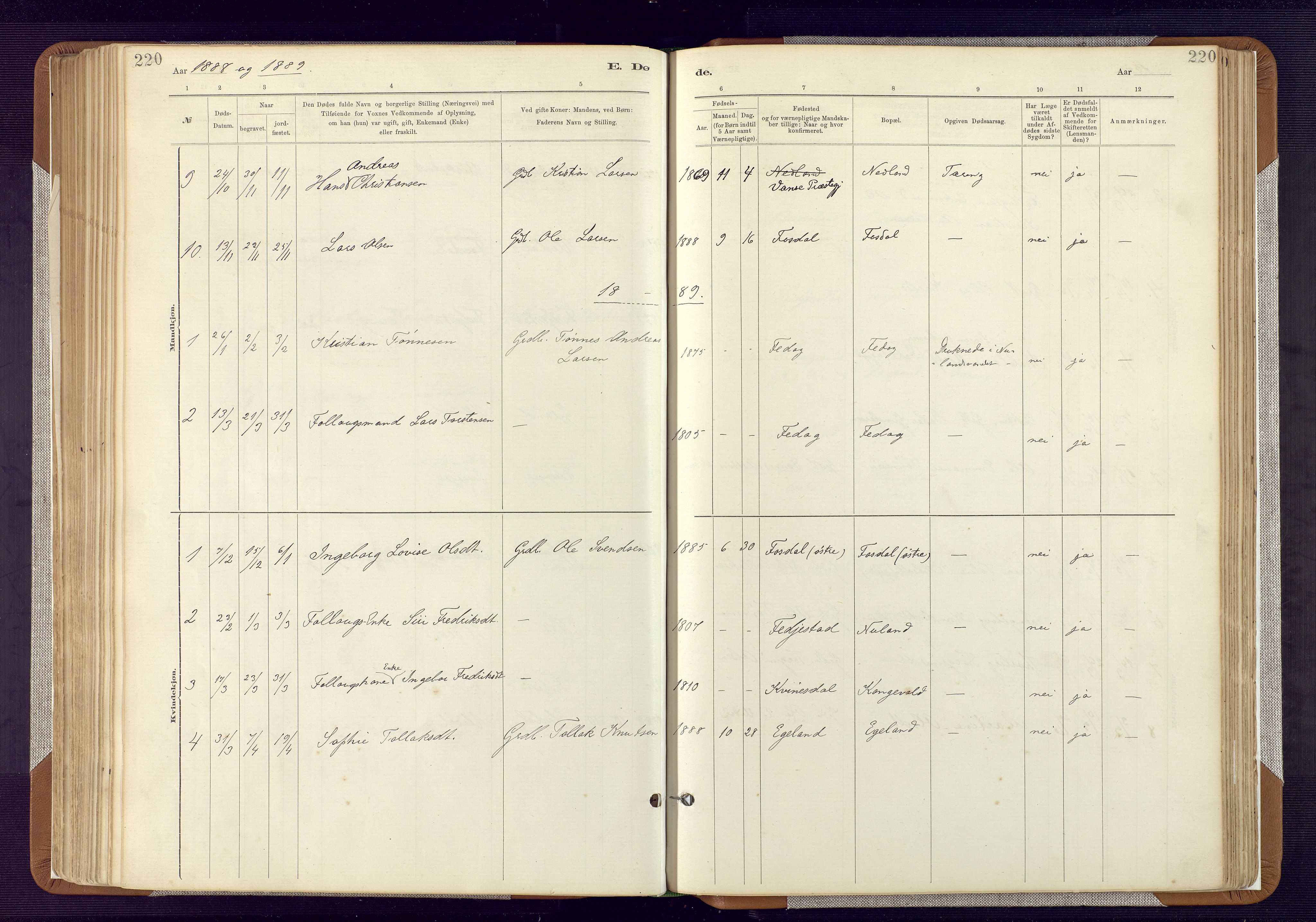 Bakke sokneprestkontor, SAK/1111-0002/F/Fa/Fab/L0003: Parish register (official) no. A 3, 1884-1921, p. 220