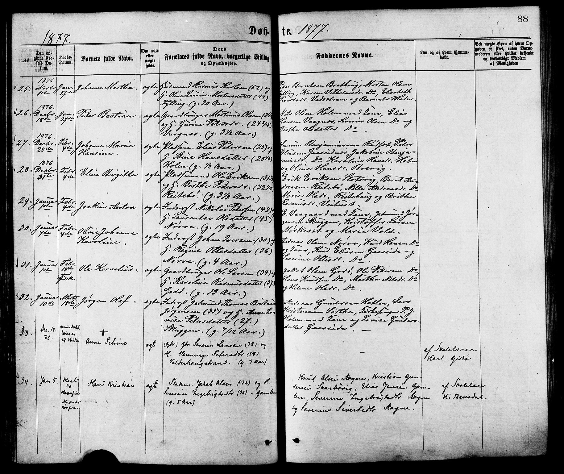 Ministerialprotokoller, klokkerbøker og fødselsregistre - Møre og Romsdal, AV/SAT-A-1454/528/L0400: Parish register (official) no. 528A11, 1871-1879, p. 88