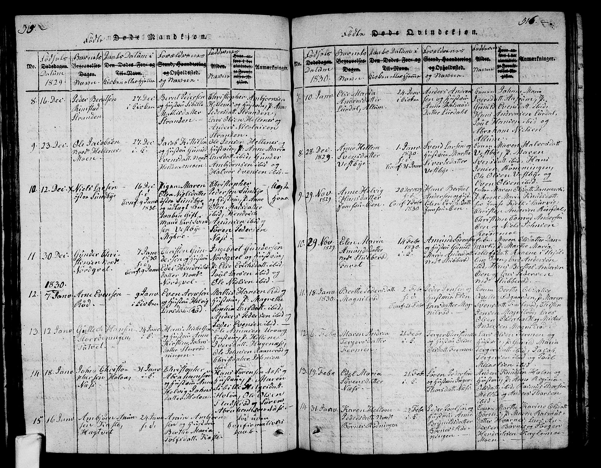 Hedrum kirkebøker, SAKO/A-344/G/Ga/L0003: Parish register (copy) no. I 3, 1817-1835, p. 315-316