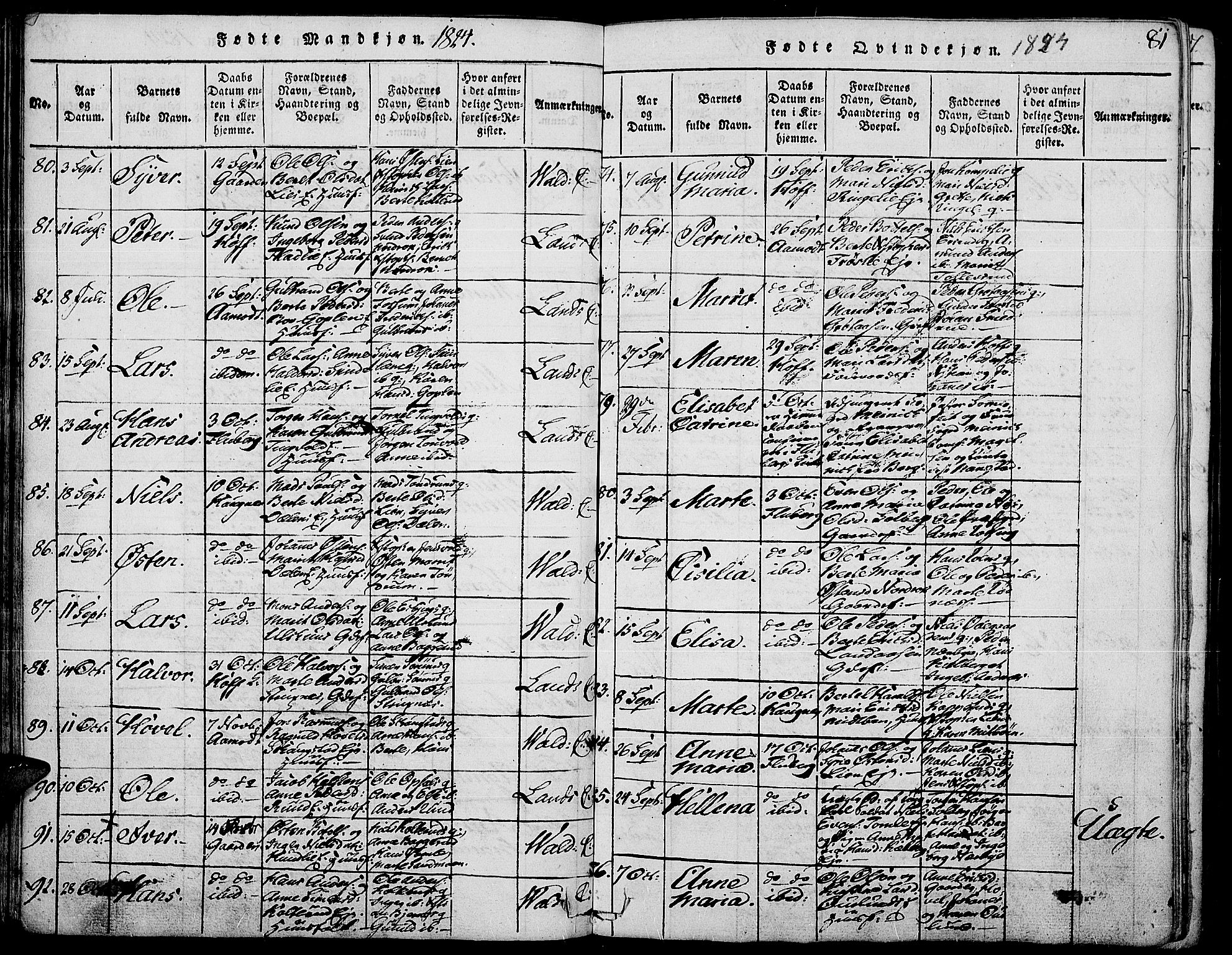 Land prestekontor, SAH/PREST-120/H/Ha/Haa/L0007: Parish register (official) no. 7, 1814-1830, p. 81