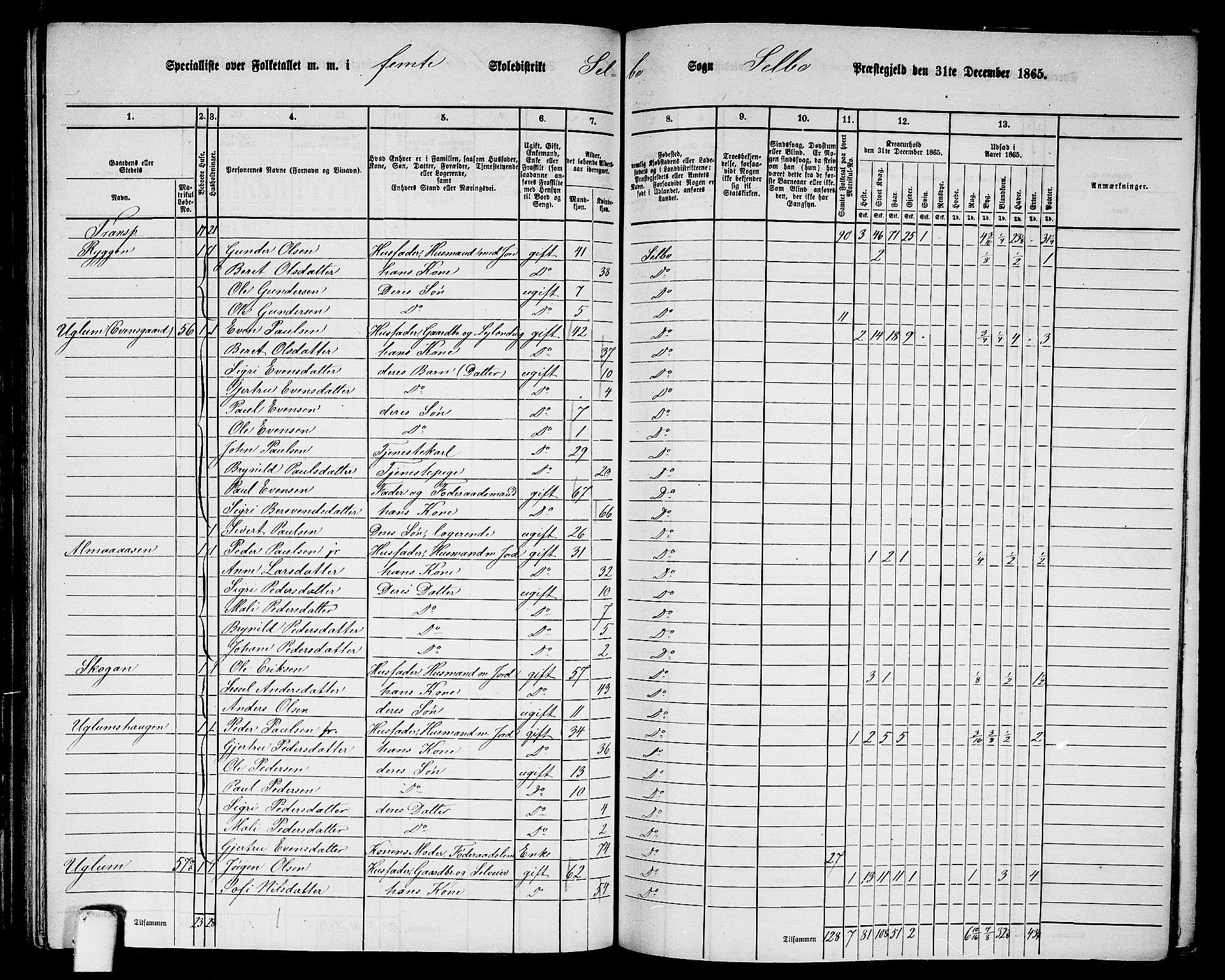 RA, 1865 census for Selbu, 1865, p. 69