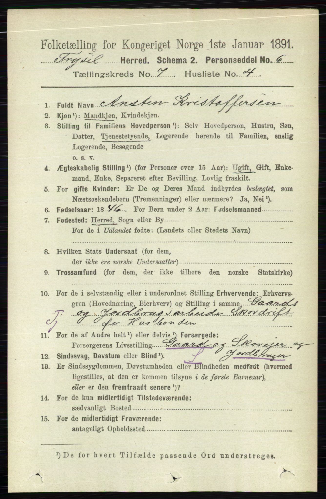 RA, 1891 census for 0428 Trysil, 1891, p. 3161