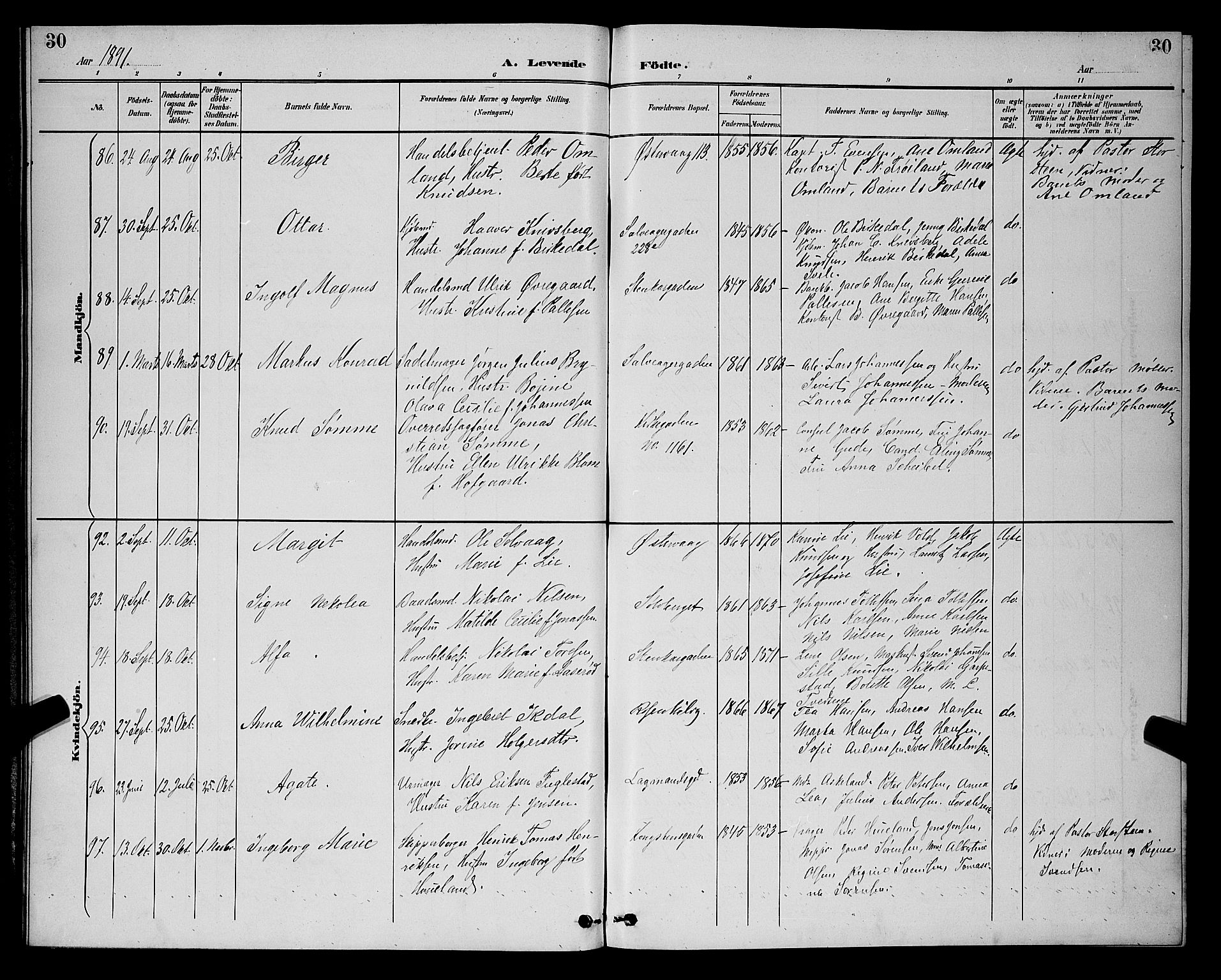 St. Petri sokneprestkontor, AV/SAST-A-101813/001/30/30BB/L0006: Parish register (copy) no. B 6, 1890-1897, p. 30