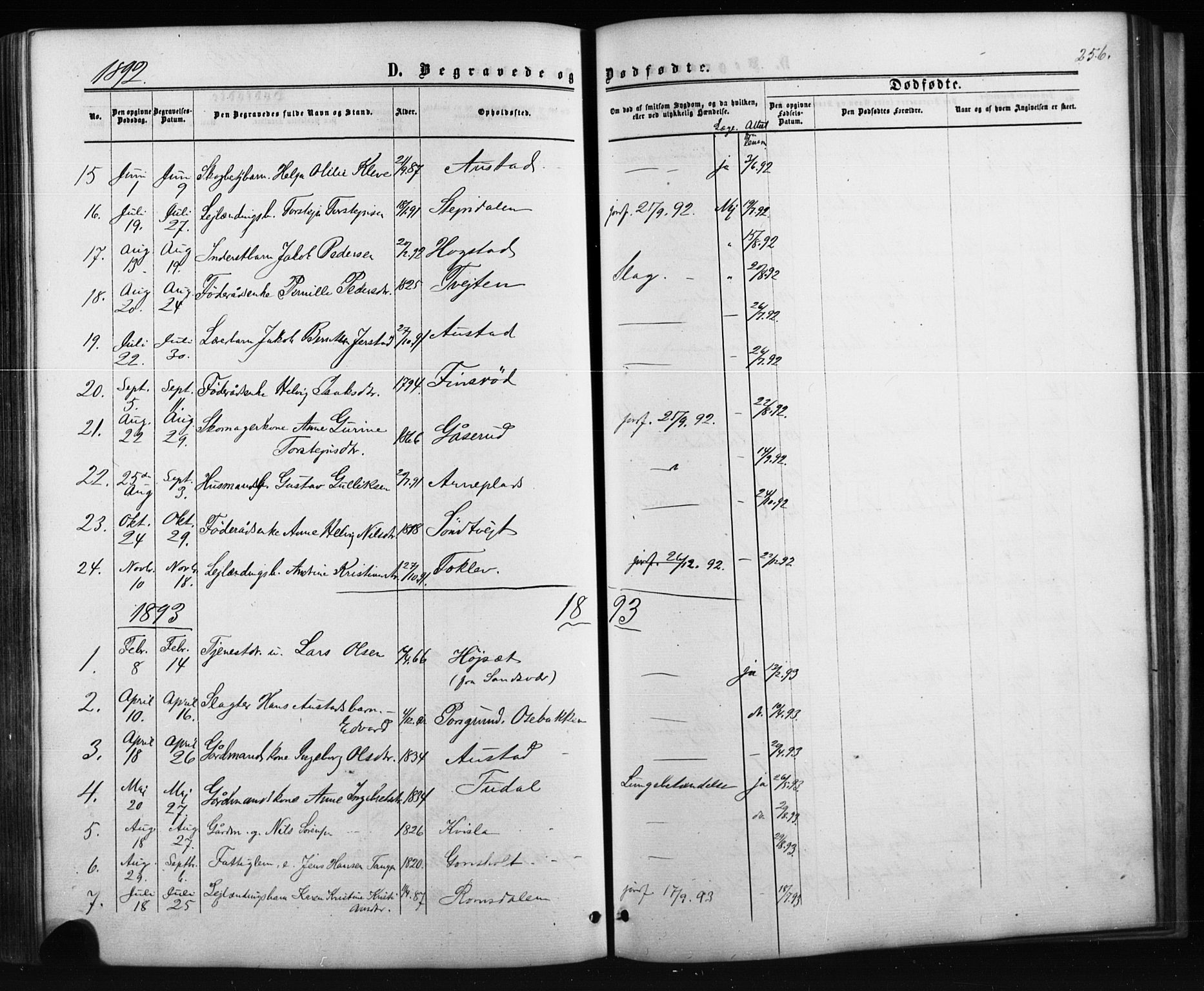 Siljan kirkebøker, AV/SAKO-A-300/G/Ga/L0002: Parish register (copy) no. 2, 1864-1908, p. 256