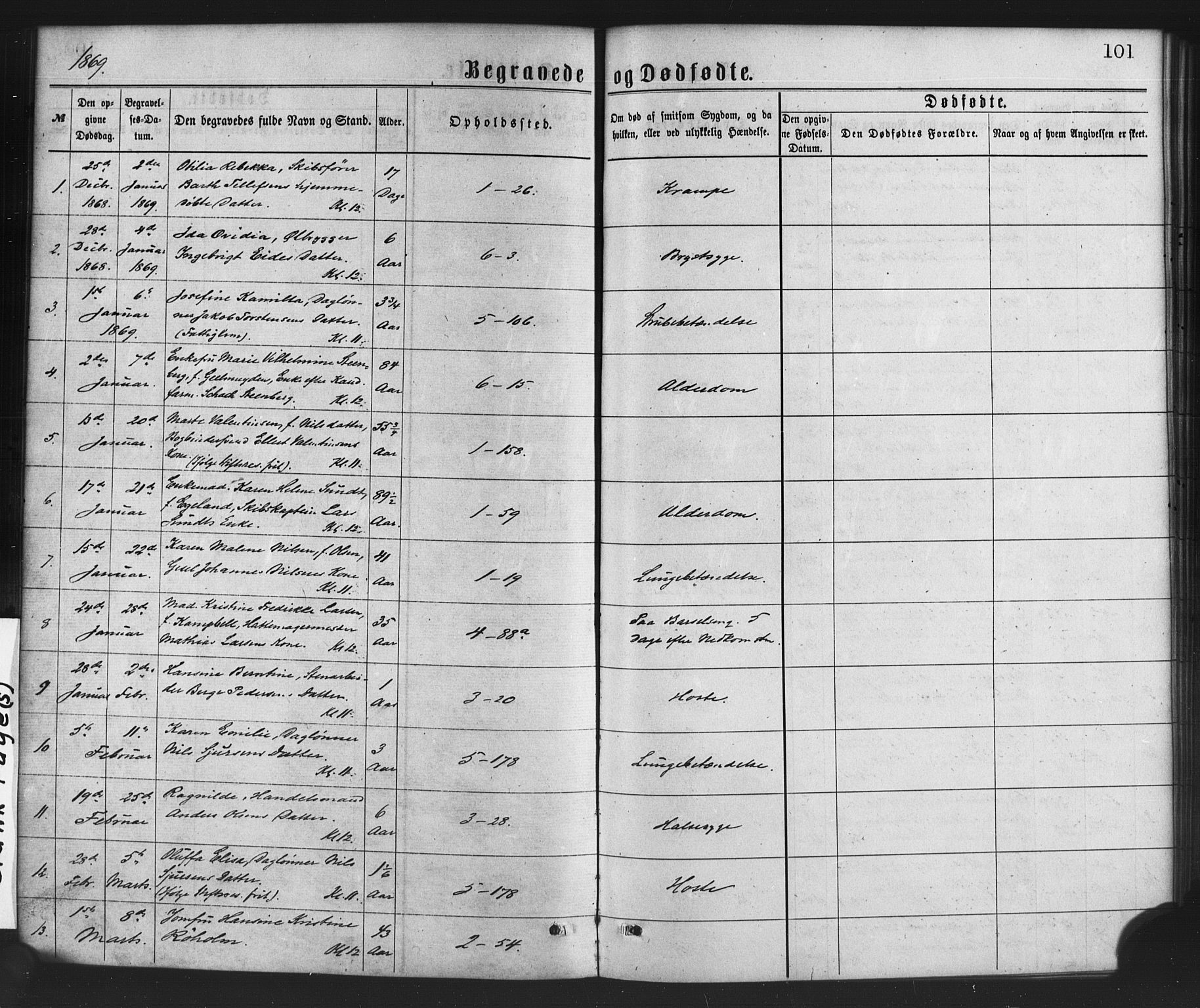 Nykirken Sokneprestembete, SAB/A-77101/H/Haa/L0043: Parish register (official) no. E 3, 1869-1882, p. 101