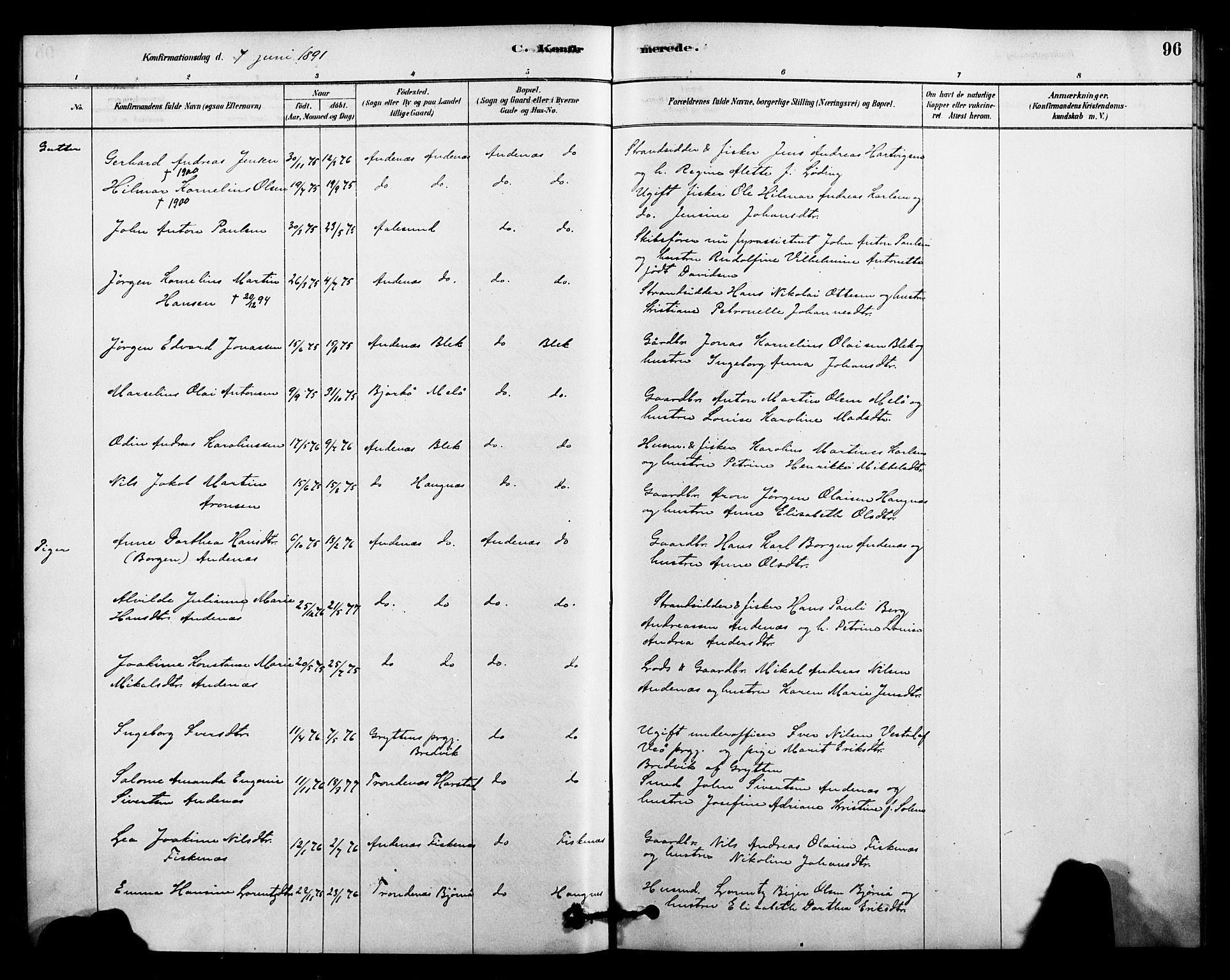 Ministerialprotokoller, klokkerbøker og fødselsregistre - Nordland, AV/SAT-A-1459/899/L1436: Parish register (official) no. 899A04, 1881-1896, p. 96