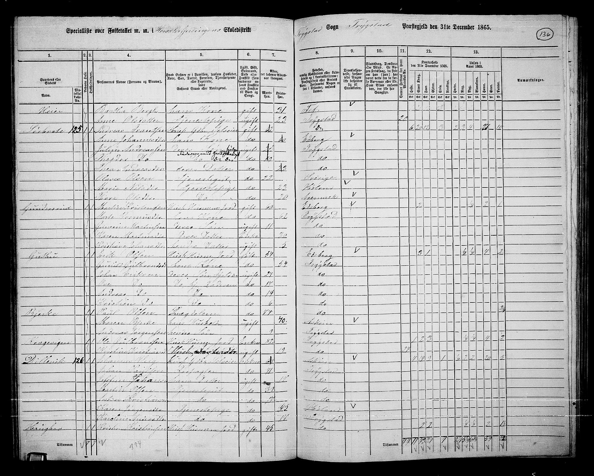 RA, 1865 census for Trøgstad, 1865, p. 120