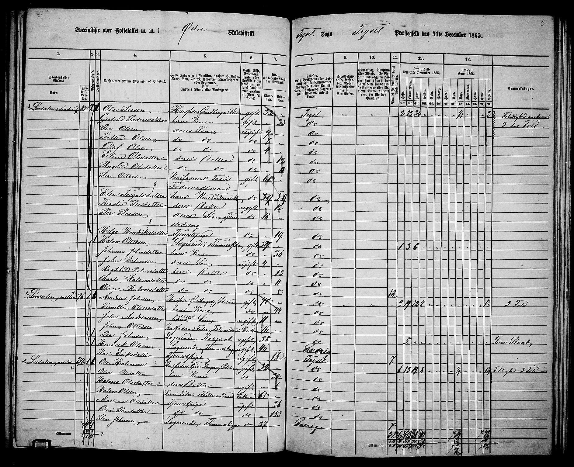 RA, 1865 census for Trysil, 1865, p. 129