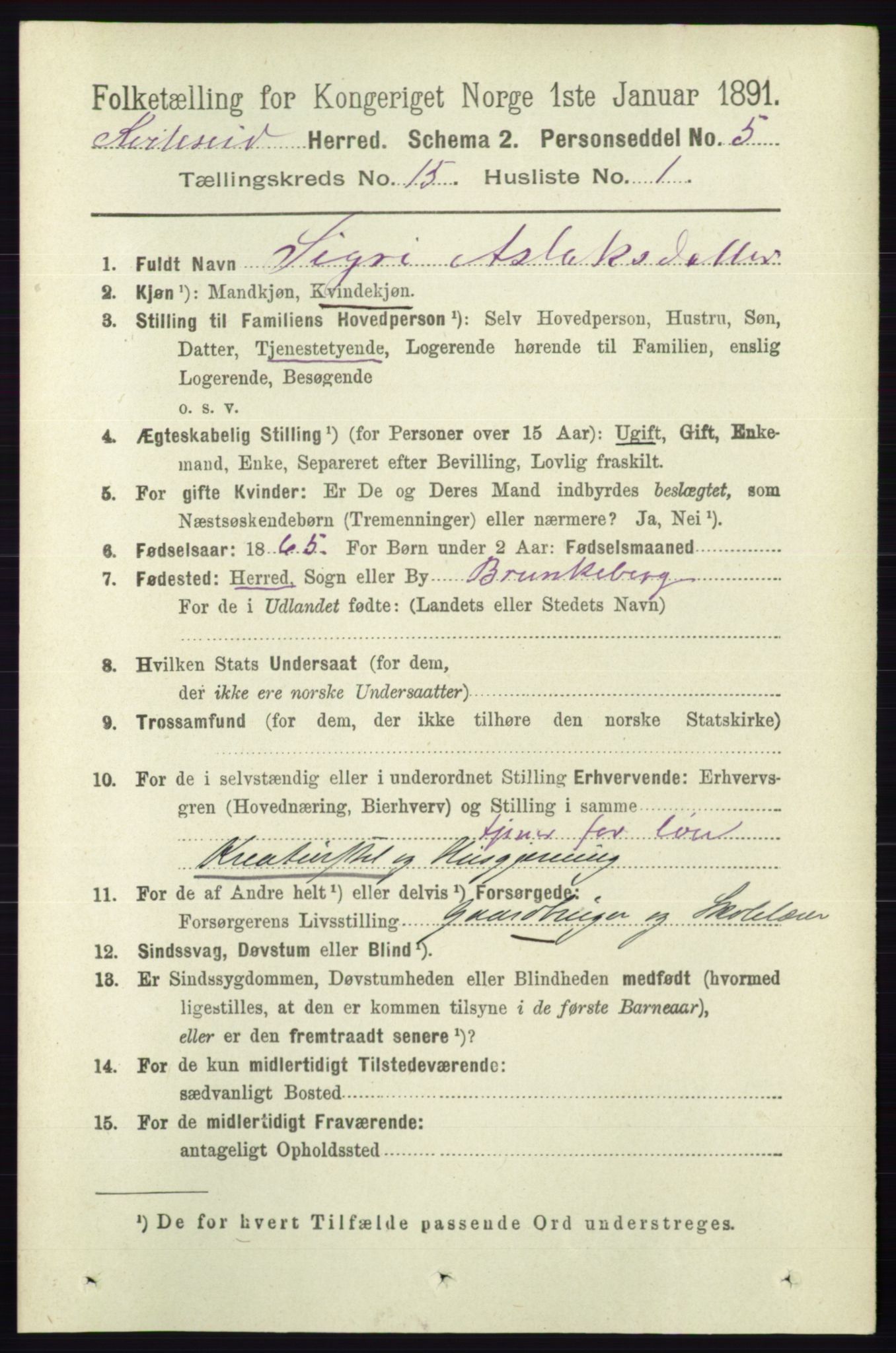 RA, 1891 census for 0829 Kviteseid, 1891, p. 3525