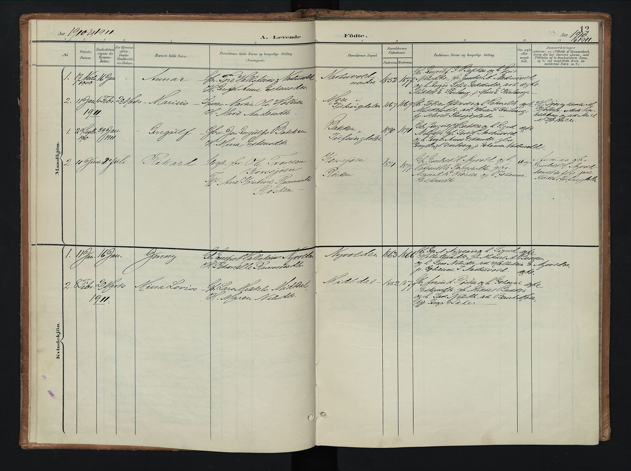 Tolga prestekontor, AV/SAH-PREST-062/K/L0010: Parish register (official) no. 10, 1901-1915, p. 12