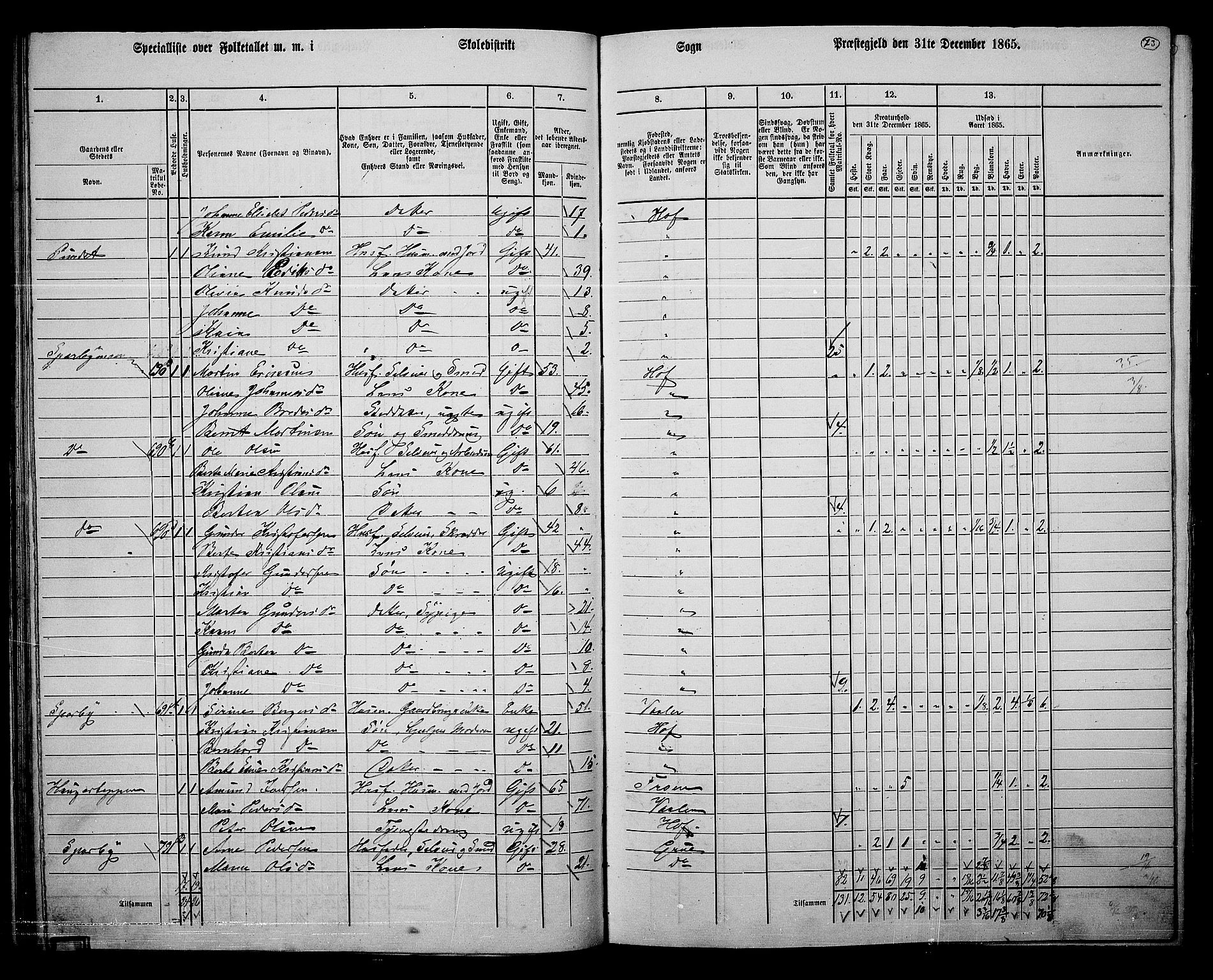 RA, 1865 census for Hof, 1865, p. 69