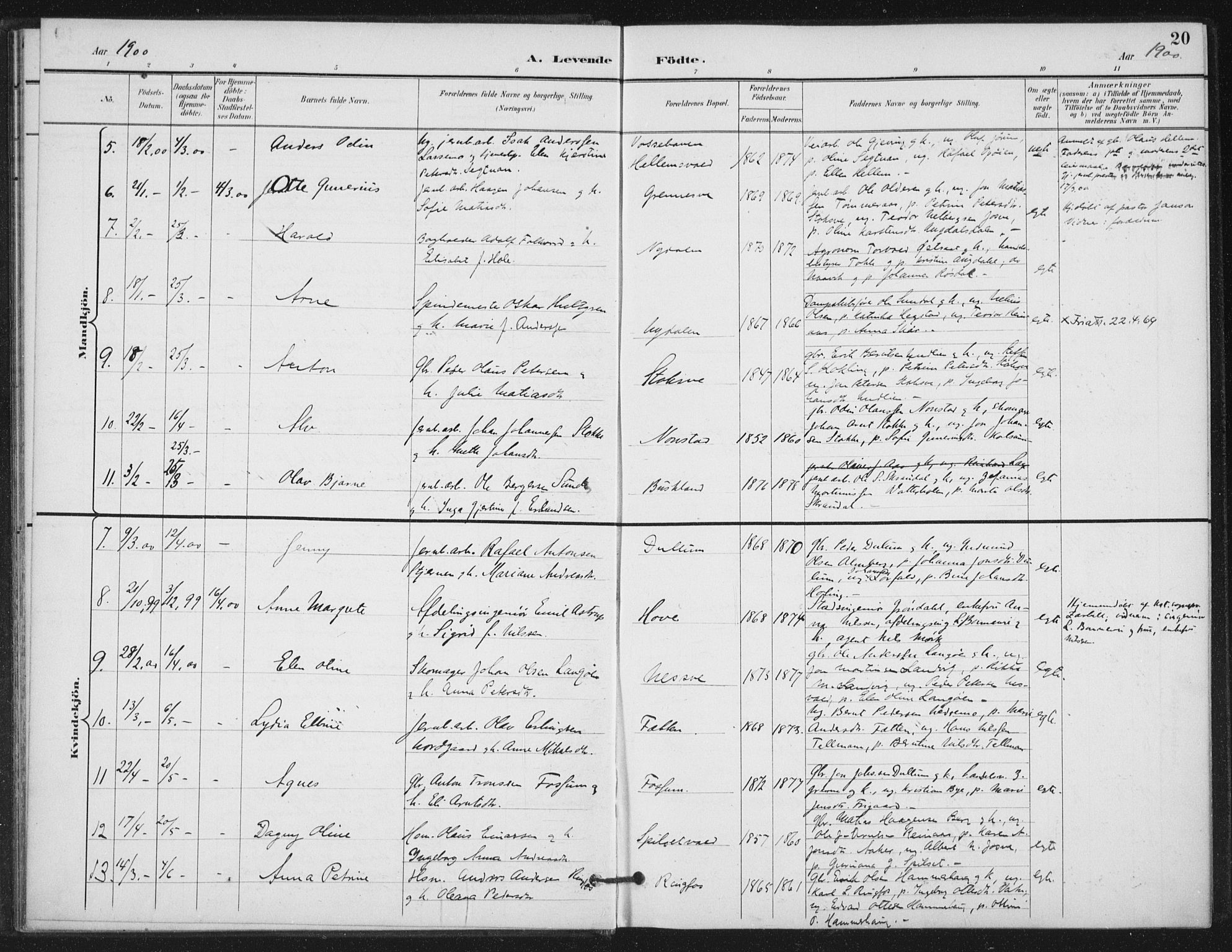 Ministerialprotokoller, klokkerbøker og fødselsregistre - Nord-Trøndelag, AV/SAT-A-1458/714/L0131: Parish register (official) no. 714A02, 1896-1918, p. 20