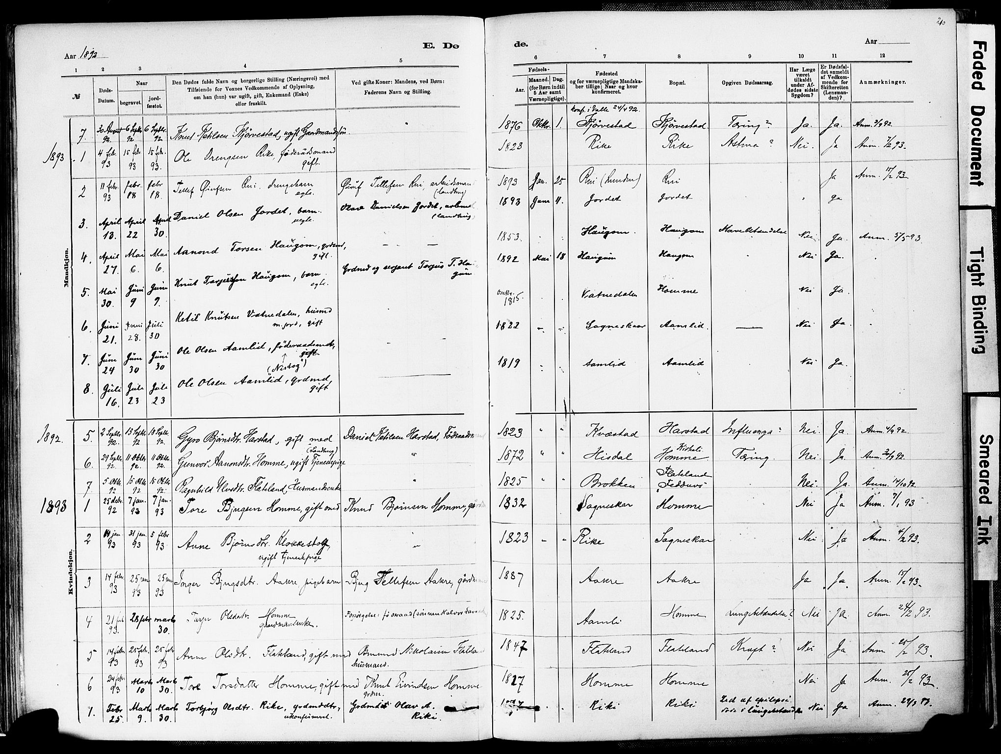 Valle sokneprestkontor, SAK/1111-0044/F/Fa/Fac/L0009: Parish register (official) no. A 9, 1882-1913, p. 210