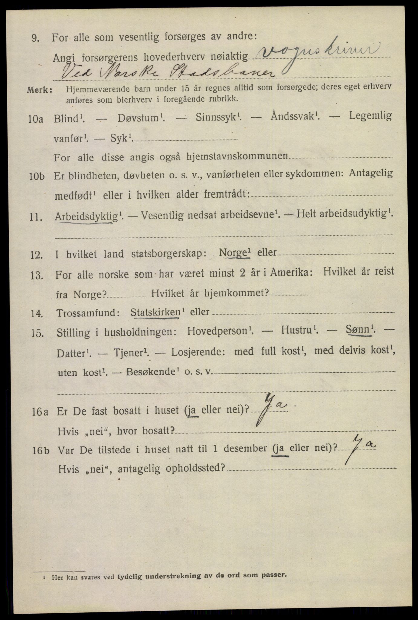 SAKO, 1920 census for Notodden, 1920, p. 16873