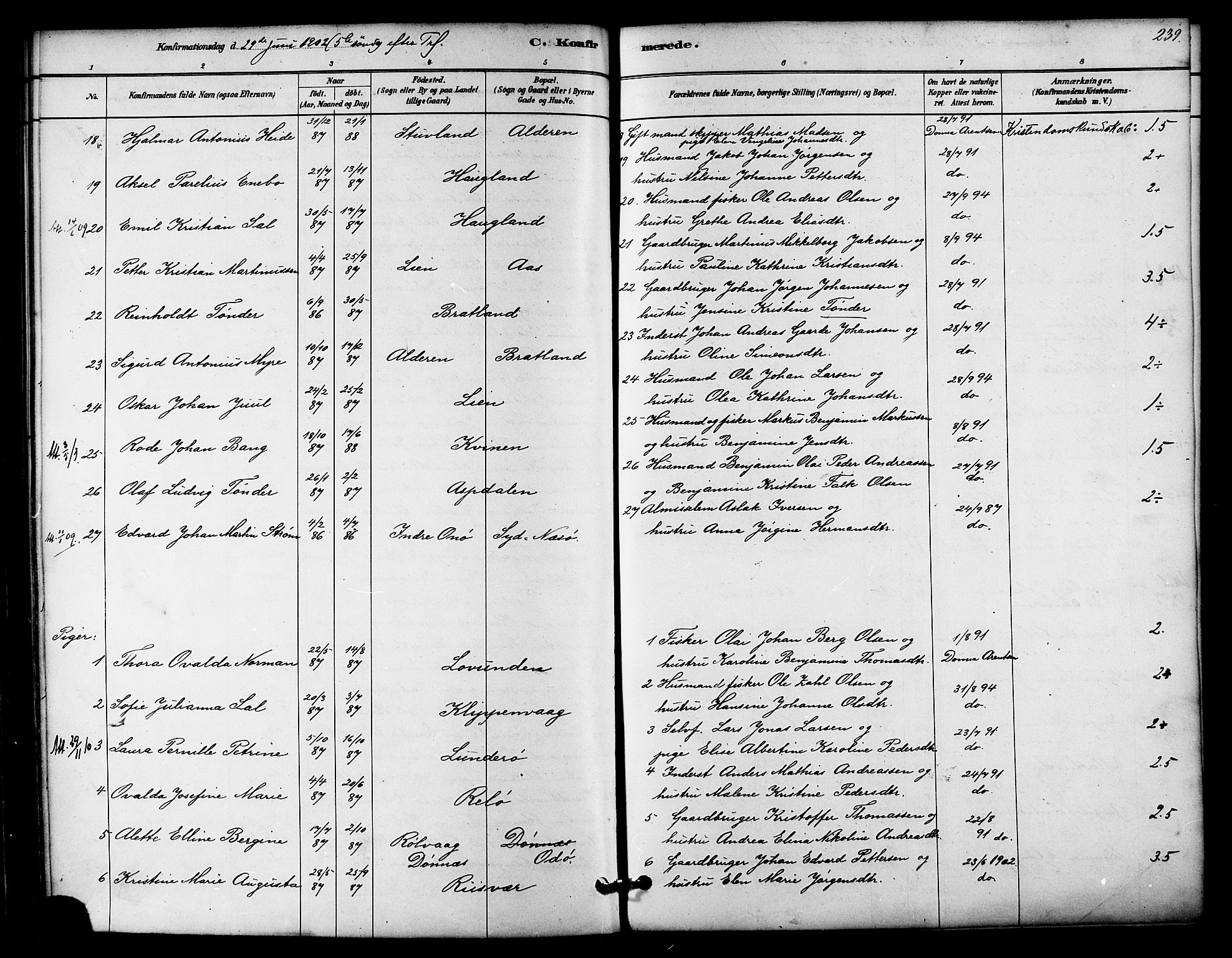 Ministerialprotokoller, klokkerbøker og fødselsregistre - Nordland, SAT/A-1459/839/L0568: Parish register (official) no. 839A05, 1880-1902, p. 239