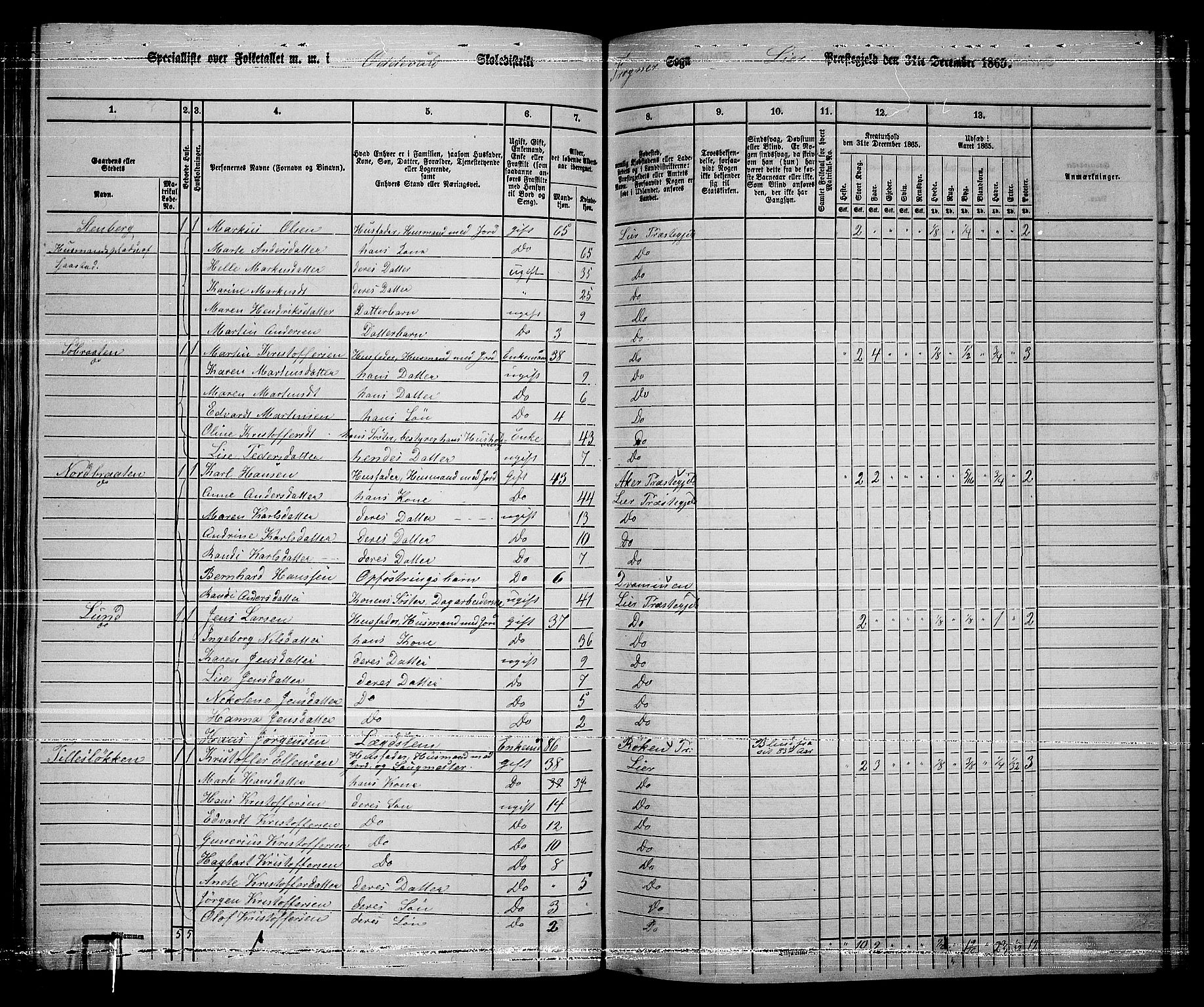 RA, 1865 census for Lier, 1865, p. 110