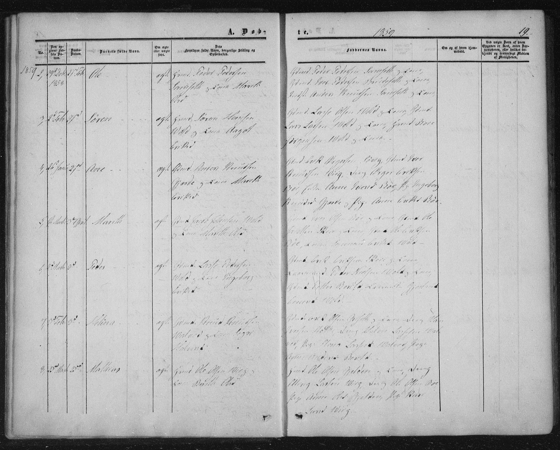 Ministerialprotokoller, klokkerbøker og fødselsregistre - Møre og Romsdal, AV/SAT-A-1454/543/L0562: Parish register (official) no. 543A02, 1854-1884, p. 19