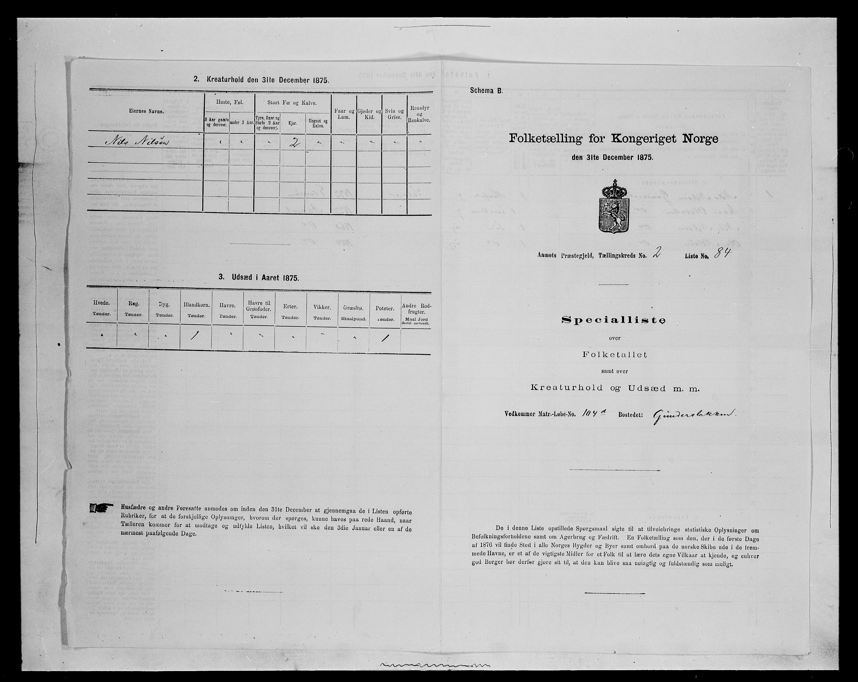 SAH, 1875 census for 0429P Åmot, 1875, p. 453