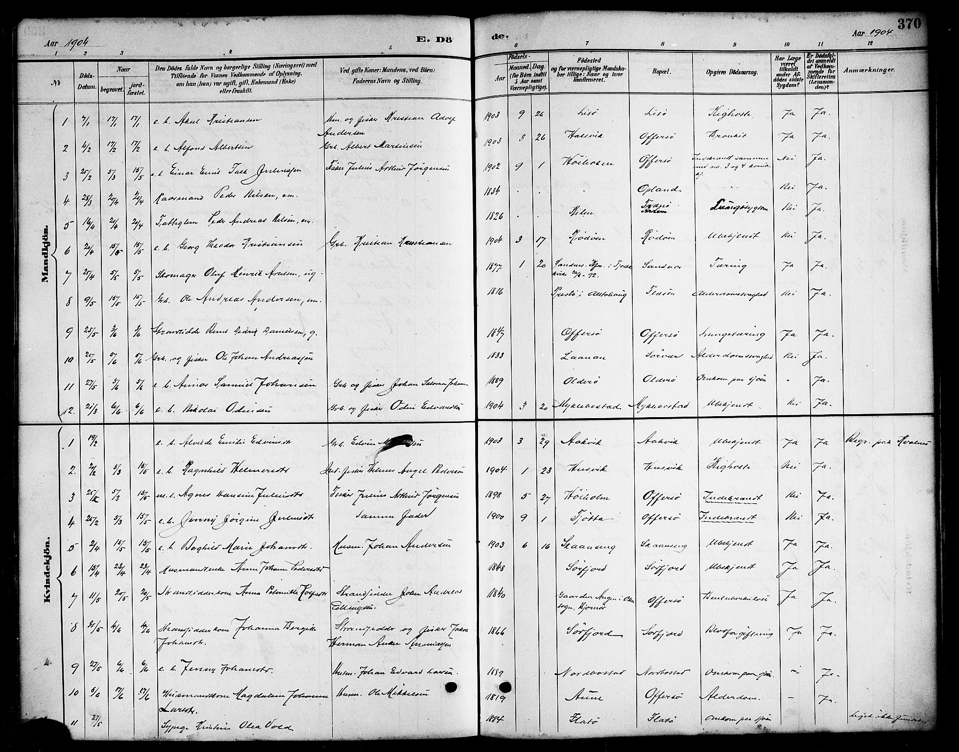 Ministerialprotokoller, klokkerbøker og fødselsregistre - Nordland, AV/SAT-A-1459/817/L0268: Parish register (copy) no. 817C03, 1884-1920, p. 370