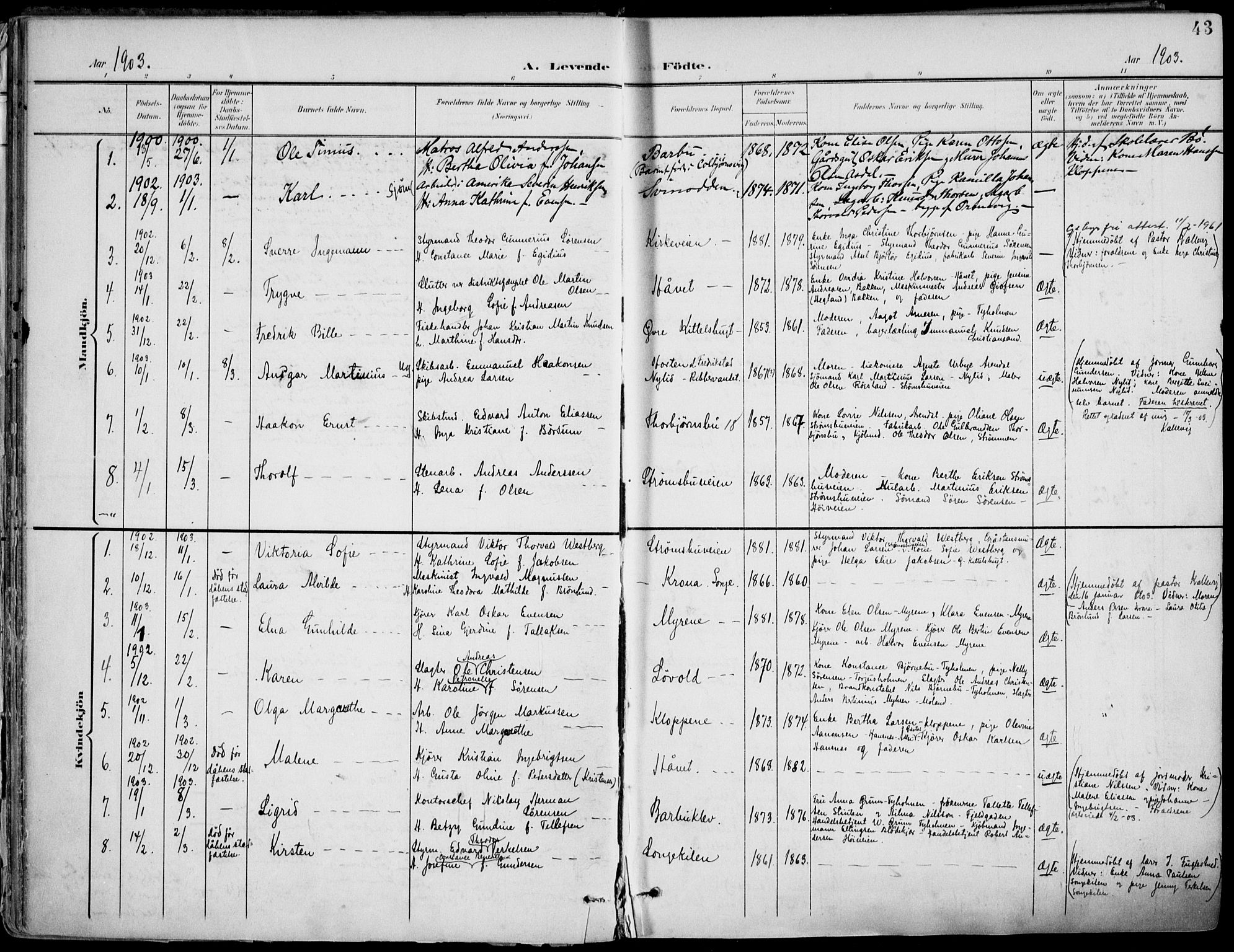 Barbu sokneprestkontor, AV/SAK-1111-0003/F/Fa/L0005: Parish register (official) no. A 5, 1899-1909, p. 43