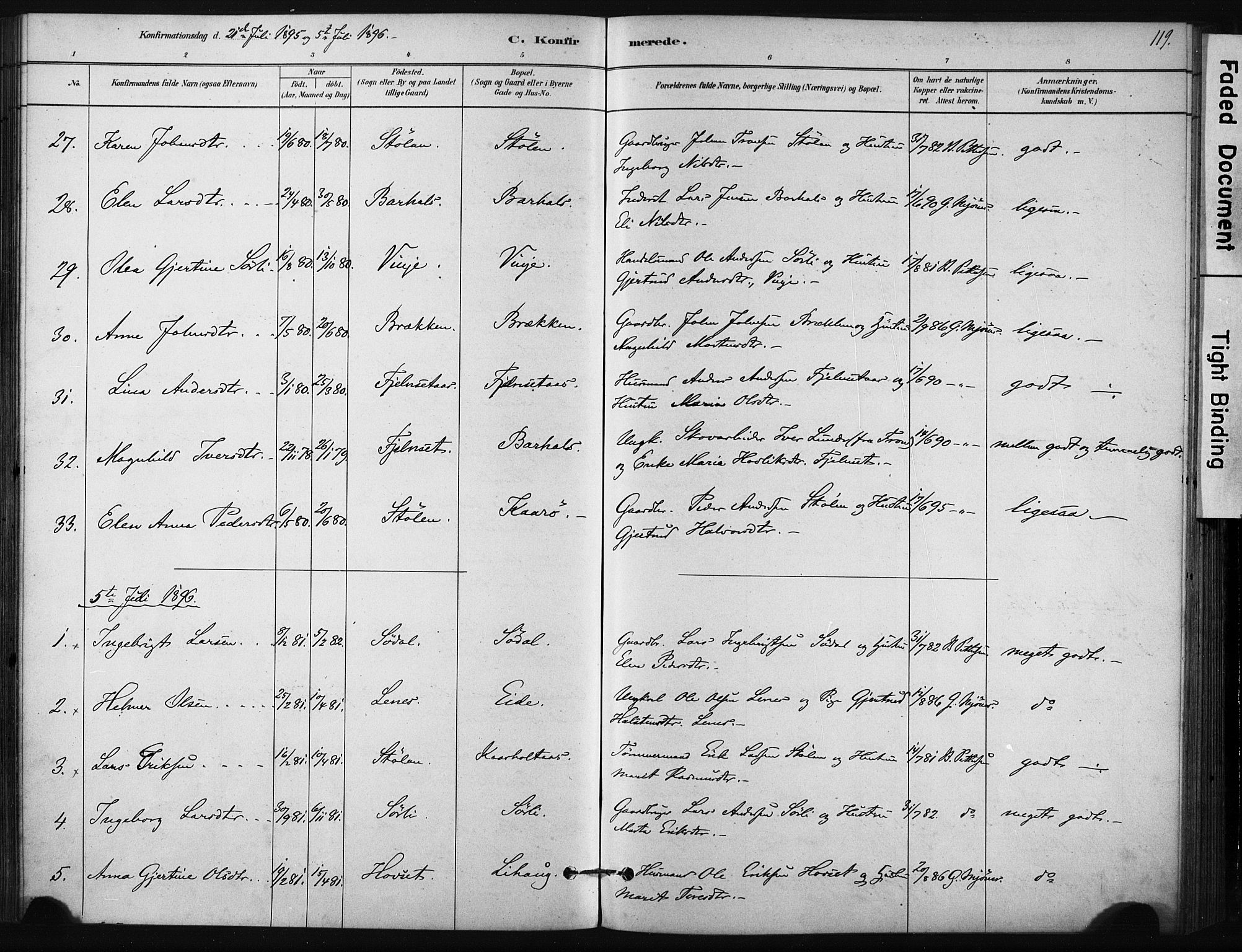 Ministerialprotokoller, klokkerbøker og fødselsregistre - Sør-Trøndelag, AV/SAT-A-1456/631/L0512: Parish register (official) no. 631A01, 1879-1912, p. 119