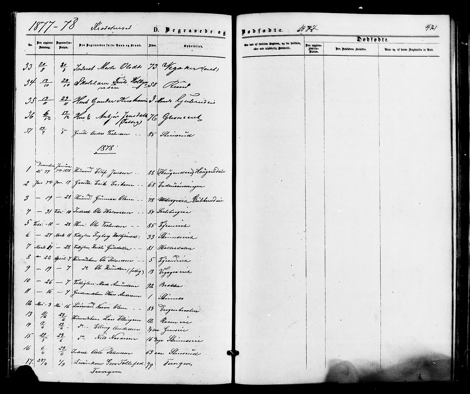 Sigdal kirkebøker, SAKO/A-245/F/Fa/L0010: Parish register (official) no. I 10 /2, 1872-1878, p. 421