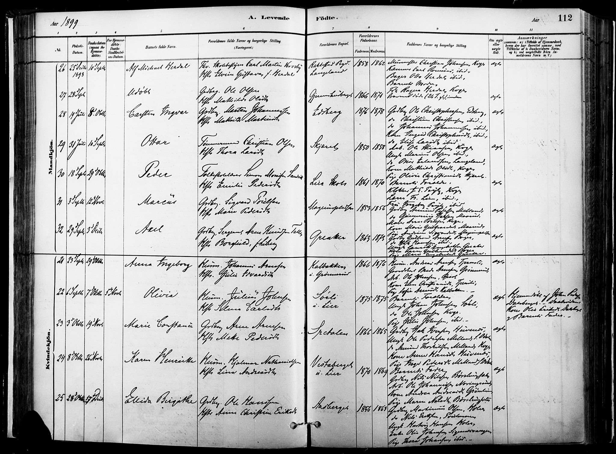 Vinger prestekontor, AV/SAH-PREST-024/H/Ha/Haa/L0014: Parish register (official) no. 14, 1881-1900, p. 112