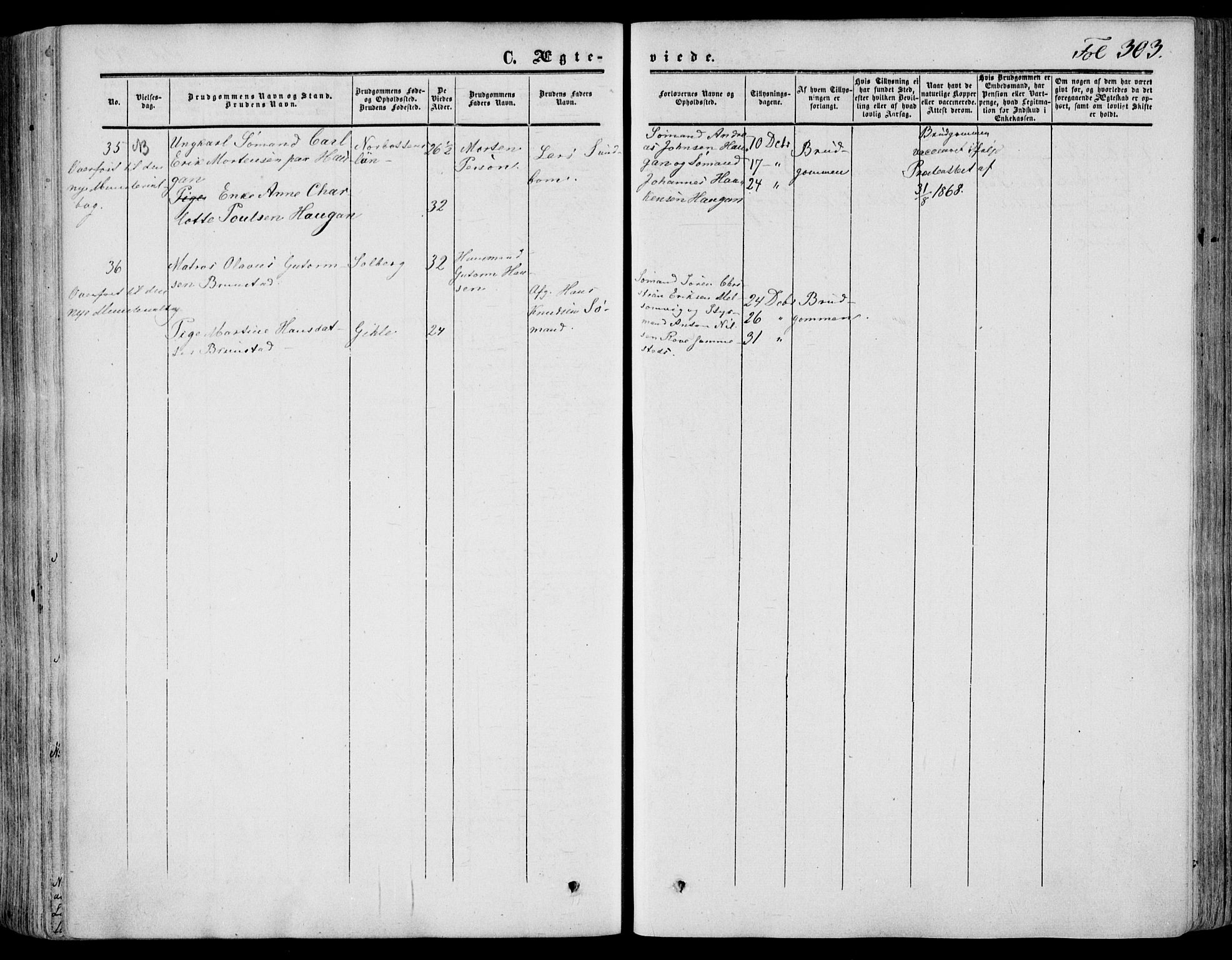 Stokke kirkebøker, AV/SAKO-A-320/F/Fa/L0008: Parish register (official) no. I 8, 1858-1871, p. 303