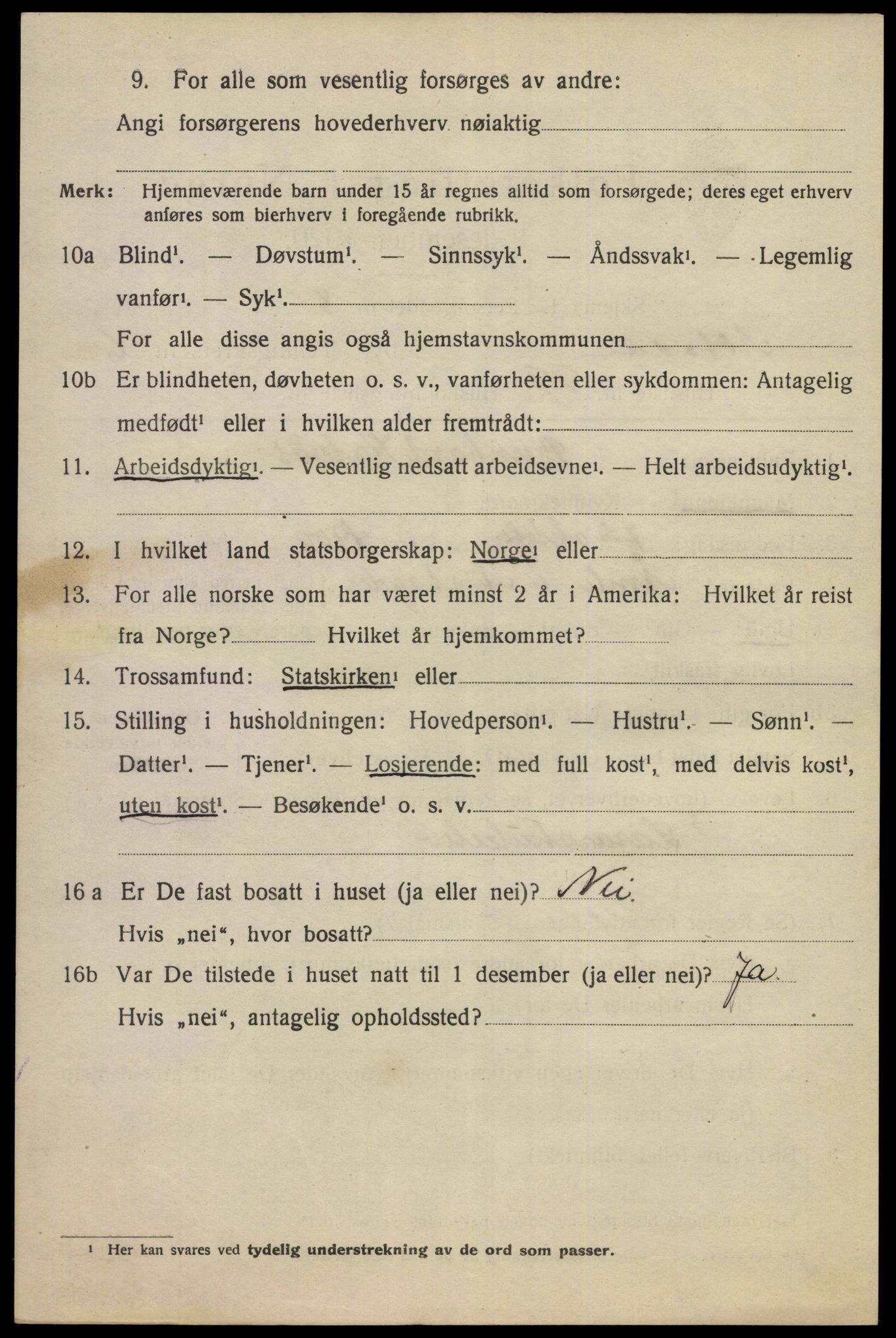 SAKO, 1920 census for Notodden, 1920, p. 15195