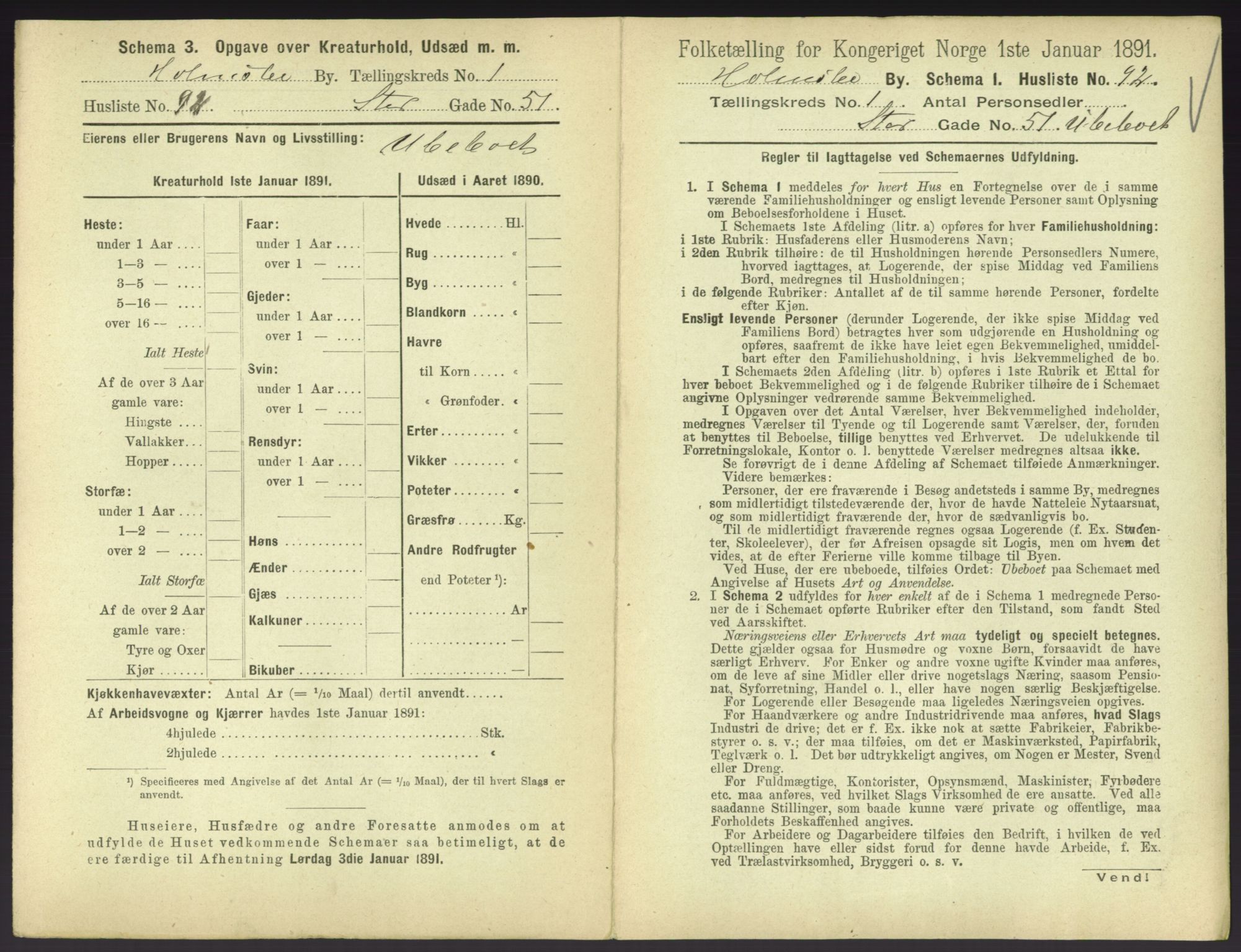 RA, 1891 census for 0603 Holmsbu, 1891, p. 197