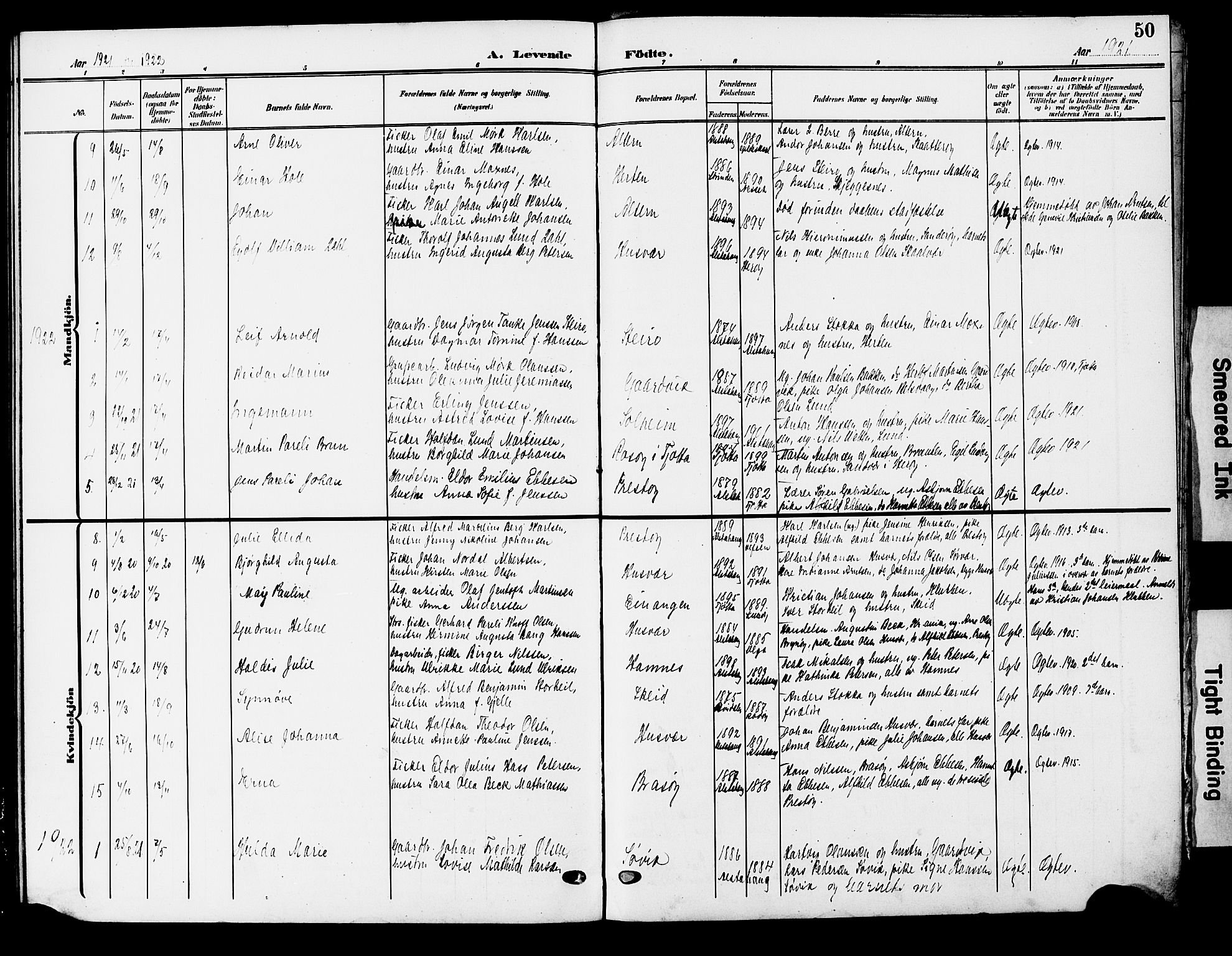 Ministerialprotokoller, klokkerbøker og fødselsregistre - Nordland, AV/SAT-A-1459/830/L0464: Parish register (copy) no. 830C06, 1906-1925, p. 50