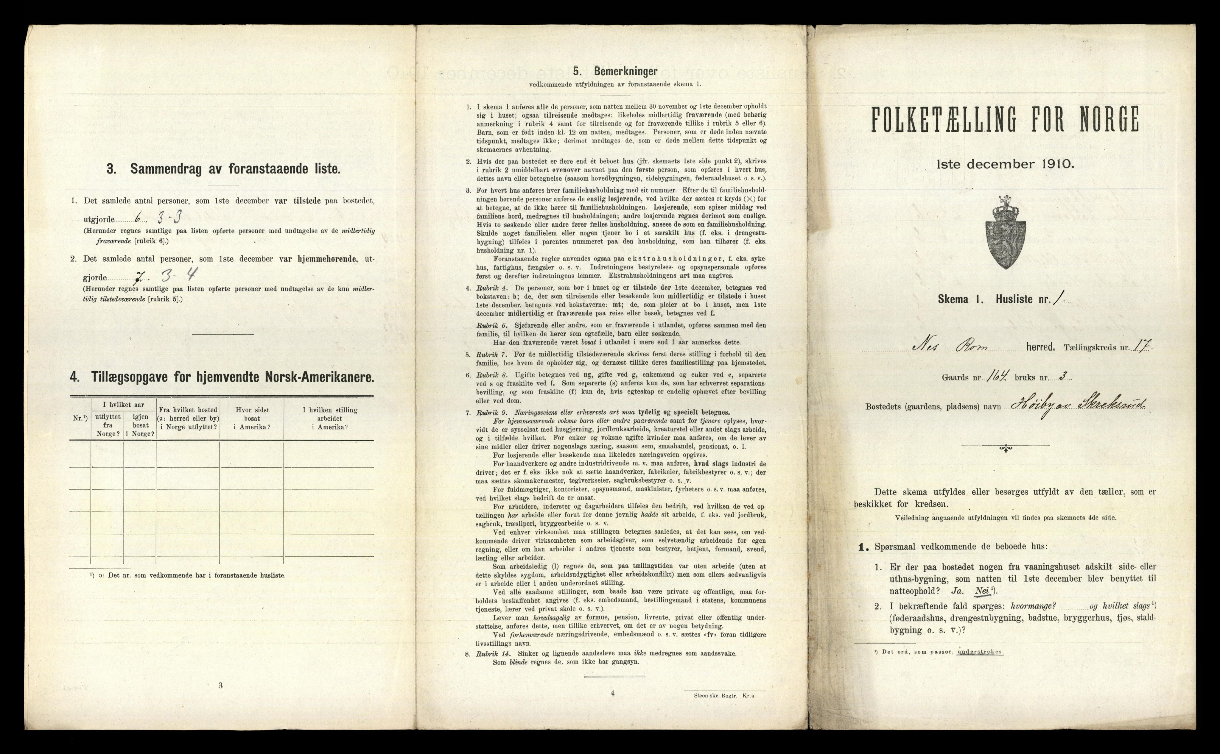 RA, 1910 census for Nes, 1910, p. 2142