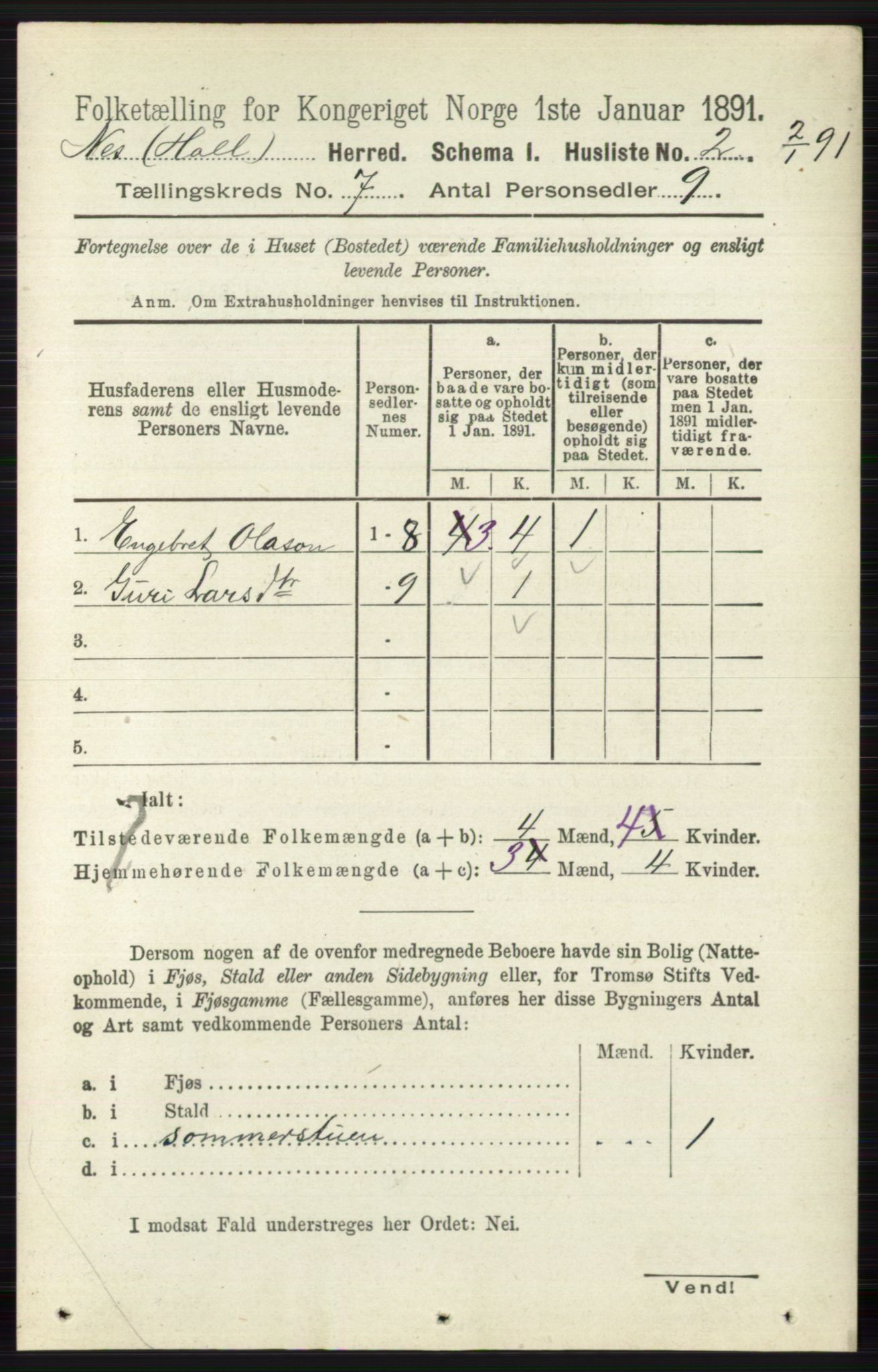 RA, 1891 census for 0616 Nes, 1891, p. 3523