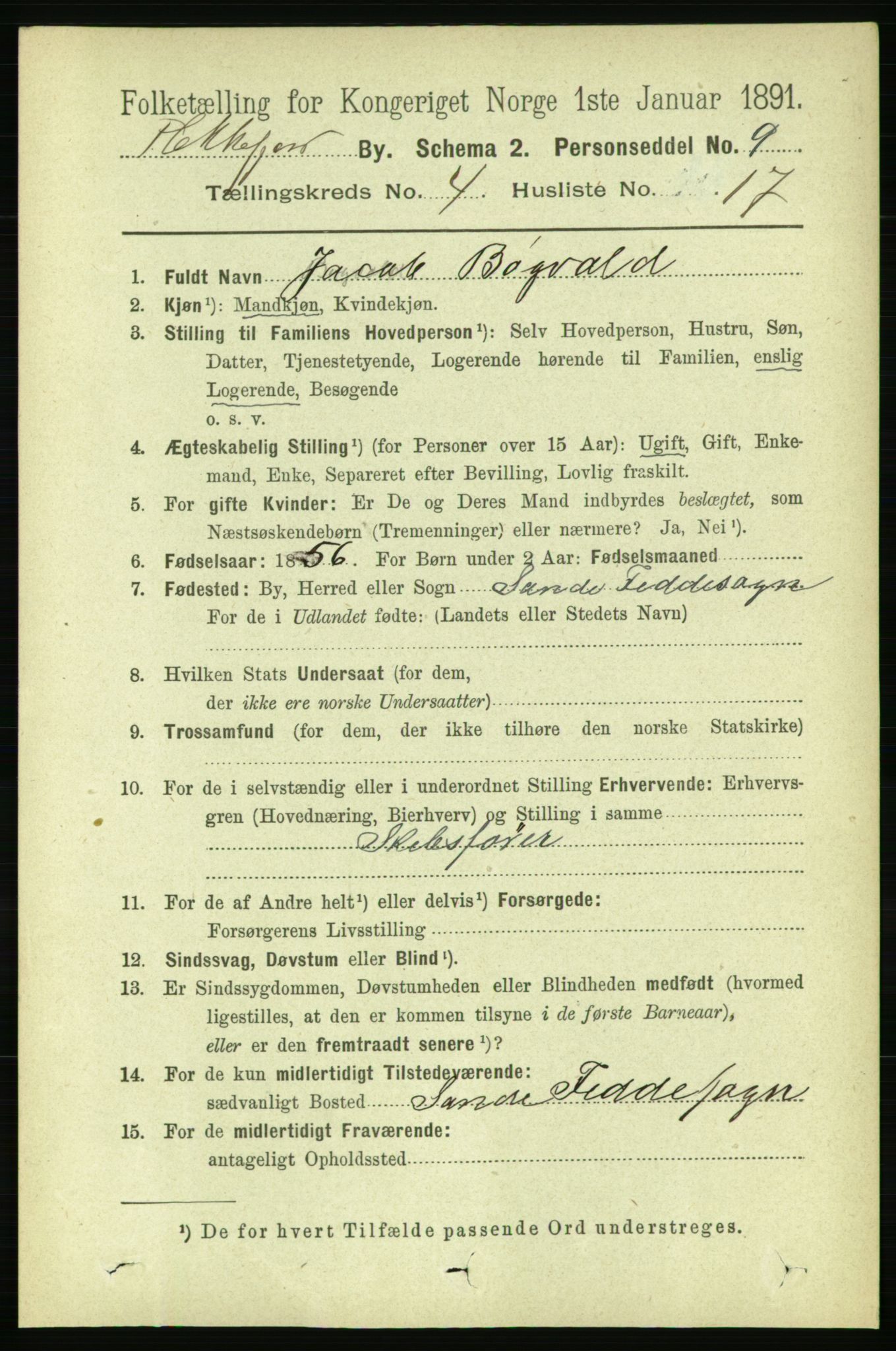 RA, 1891 census for 1004 Flekkefjord, 1891, p. 1113