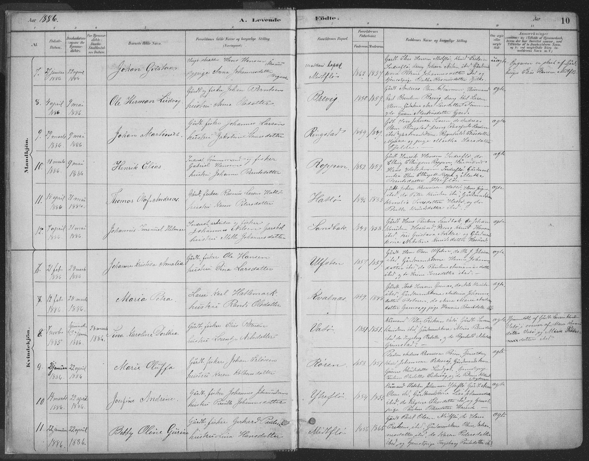 Ministerialprotokoller, klokkerbøker og fødselsregistre - Møre og Romsdal, SAT/A-1454/509/L0106: Parish register (official) no. 509A04, 1883-1922, p. 10