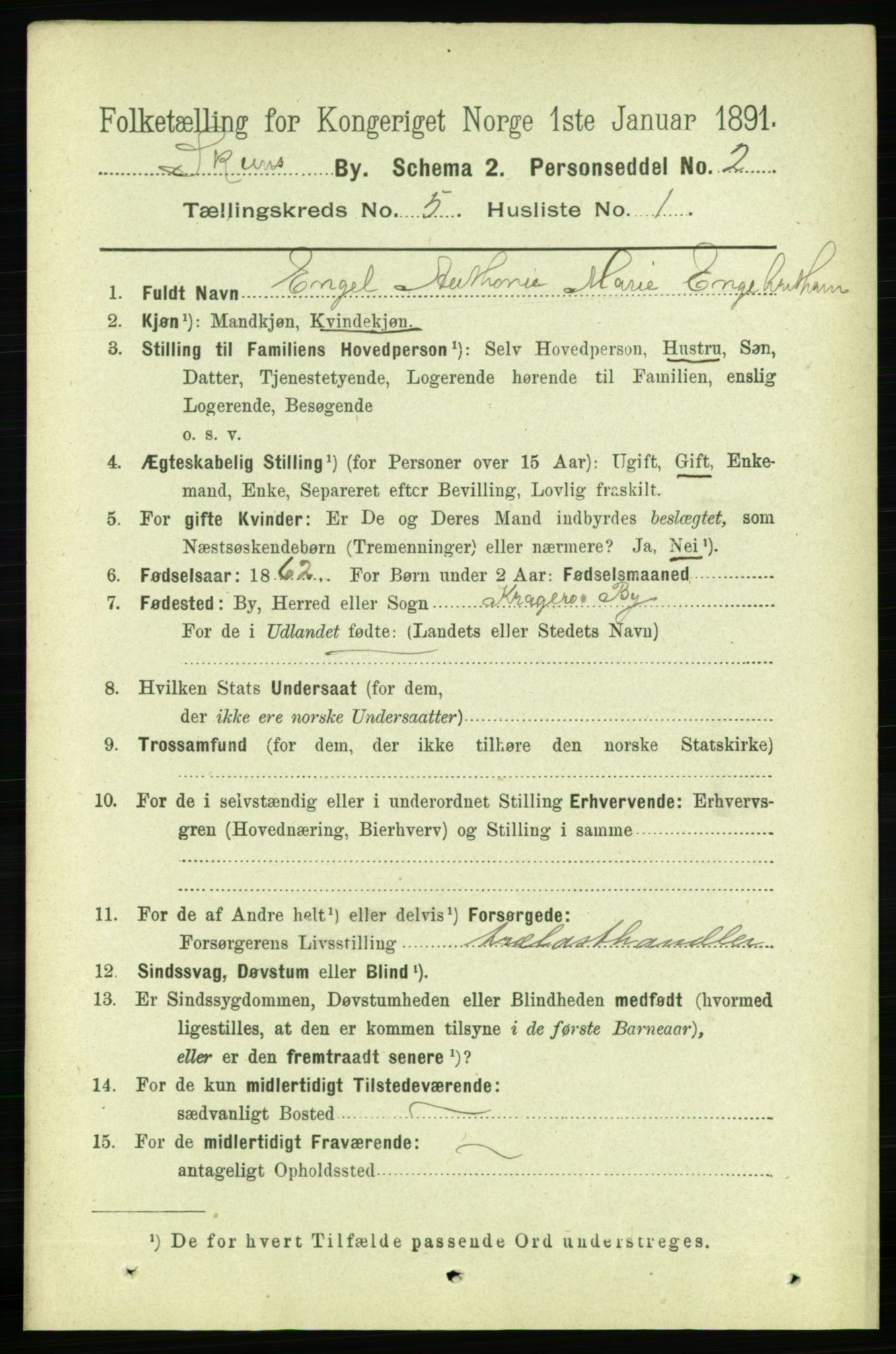 RA, 1891 census for 0806 Skien, 1891, p. 2882