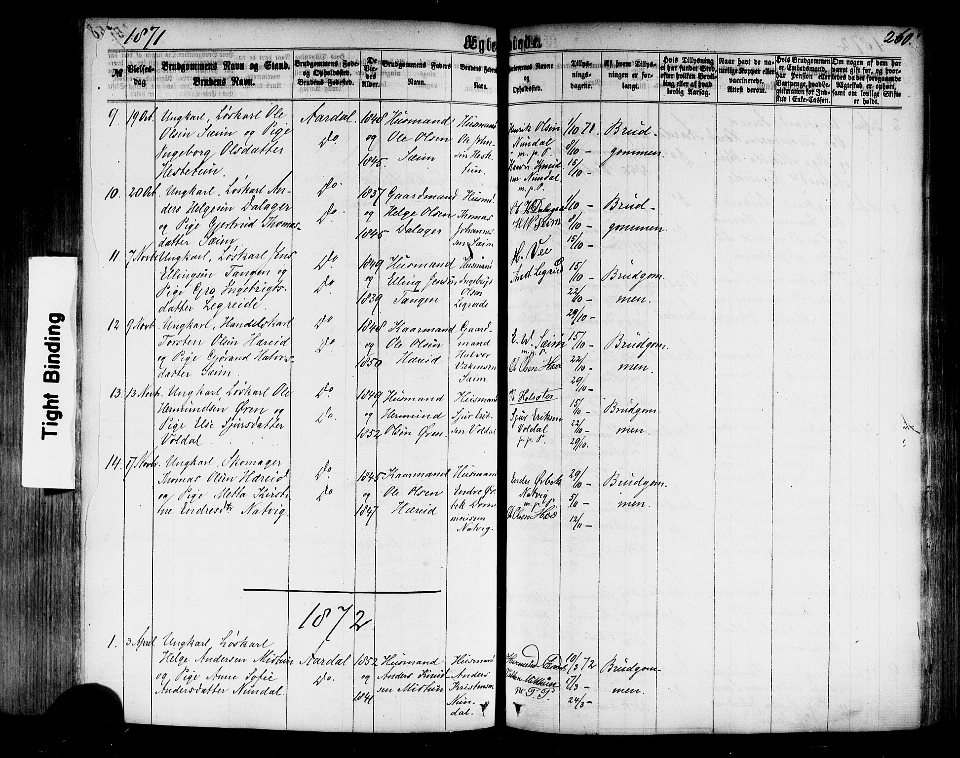 Årdal sokneprestembete, SAB/A-81701: Parish register (official) no. A 3, 1863-1886, p. 260