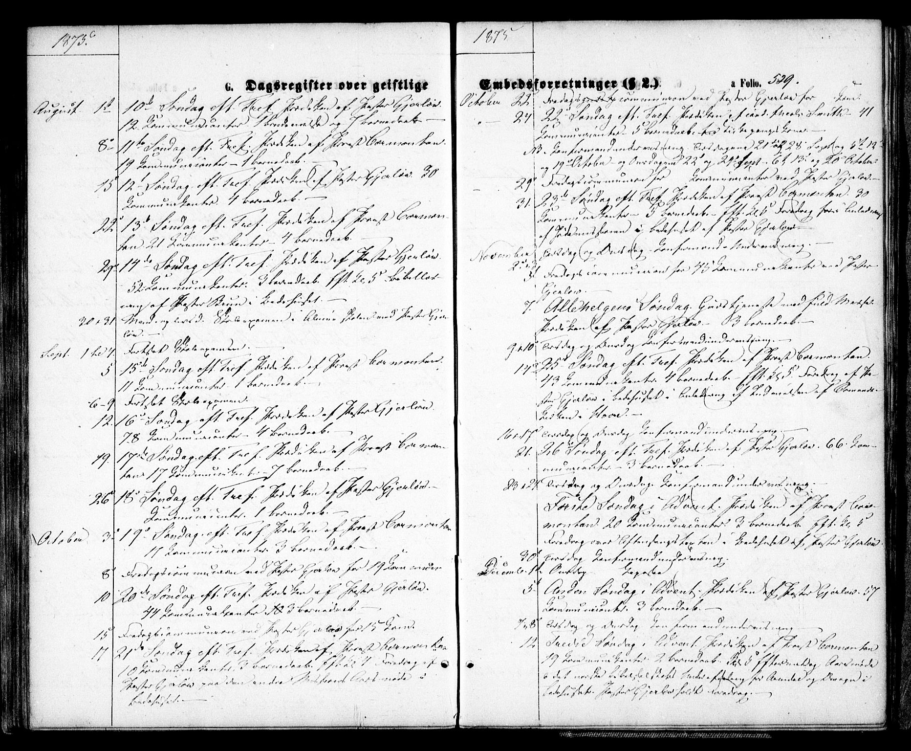 Arendal sokneprestkontor, Trefoldighet, SAK/1111-0040/F/Fa/L0007: Parish register (official) no. A 7, 1868-1878, p. 529