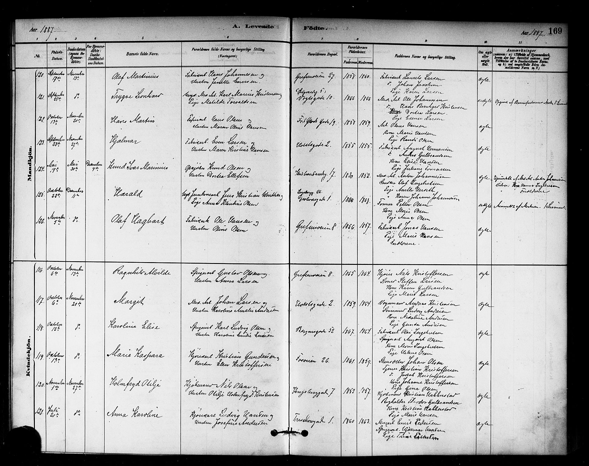 Sagene prestekontor Kirkebøker, AV/SAO-A-10796/G/L0001: Parish register (copy) no. 1, 1880-1891, p. 169