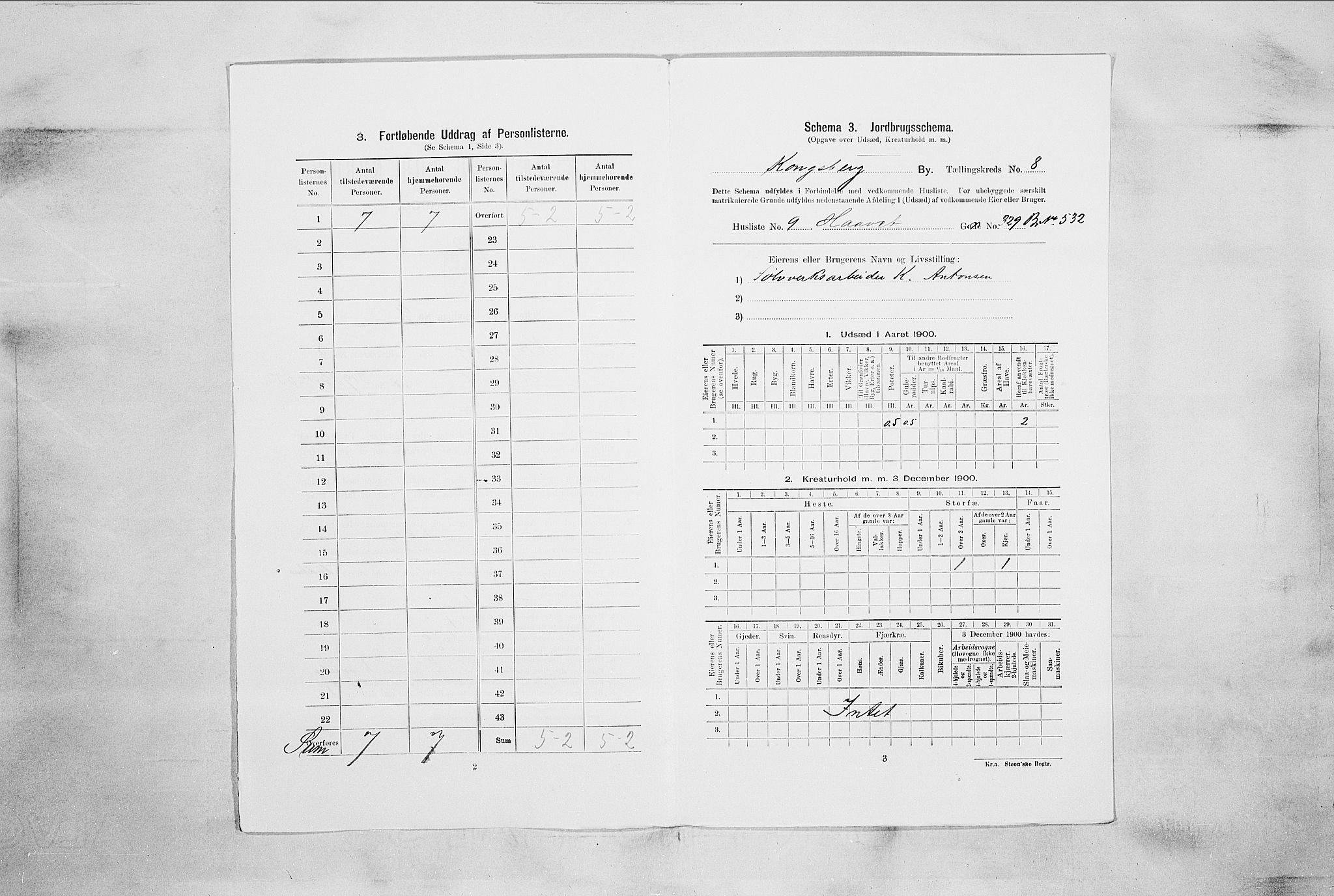 RA, 1900 census for Kongsberg, 1900, p. 1495