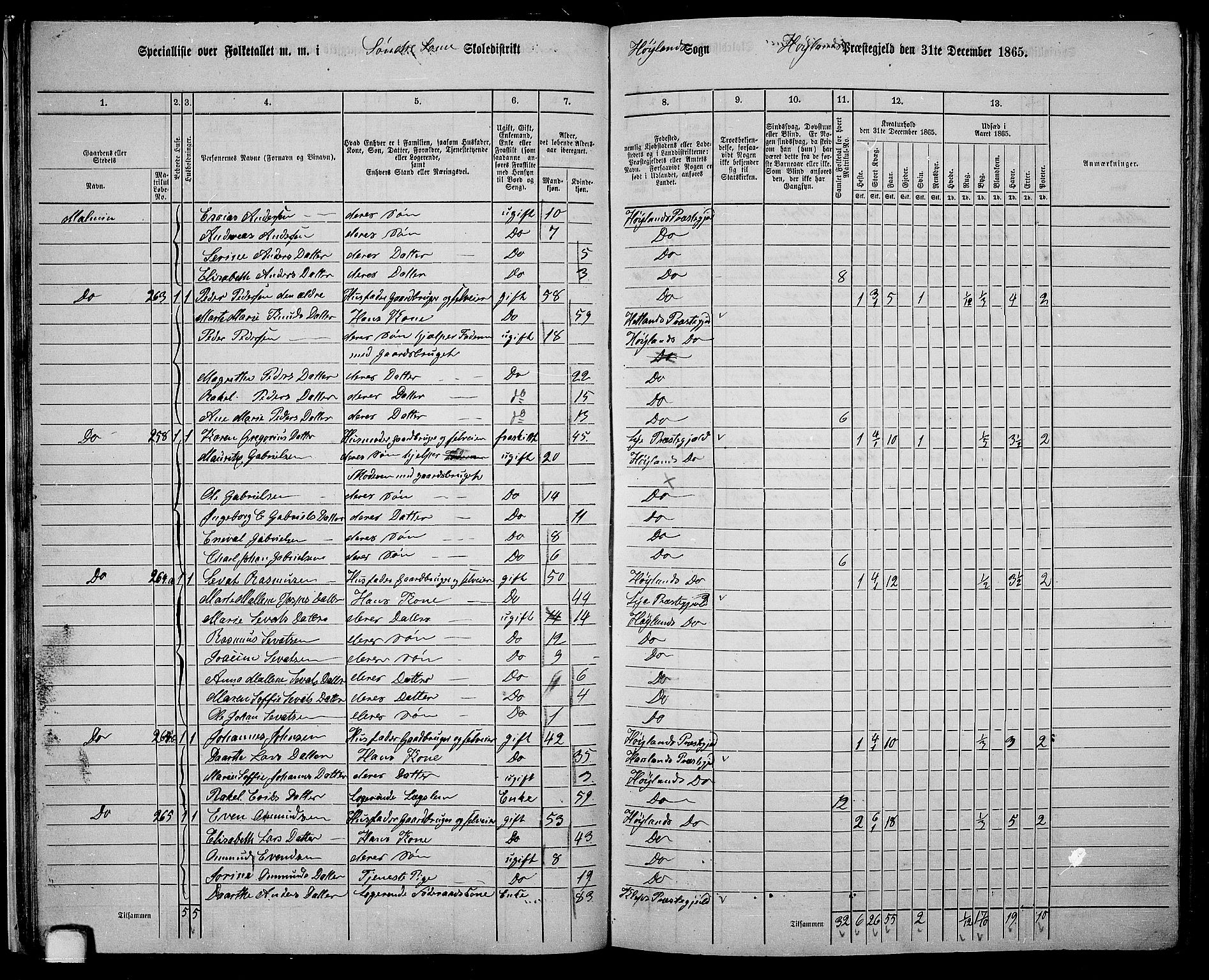 RA, 1865 census for Høyland, 1865, p. 32