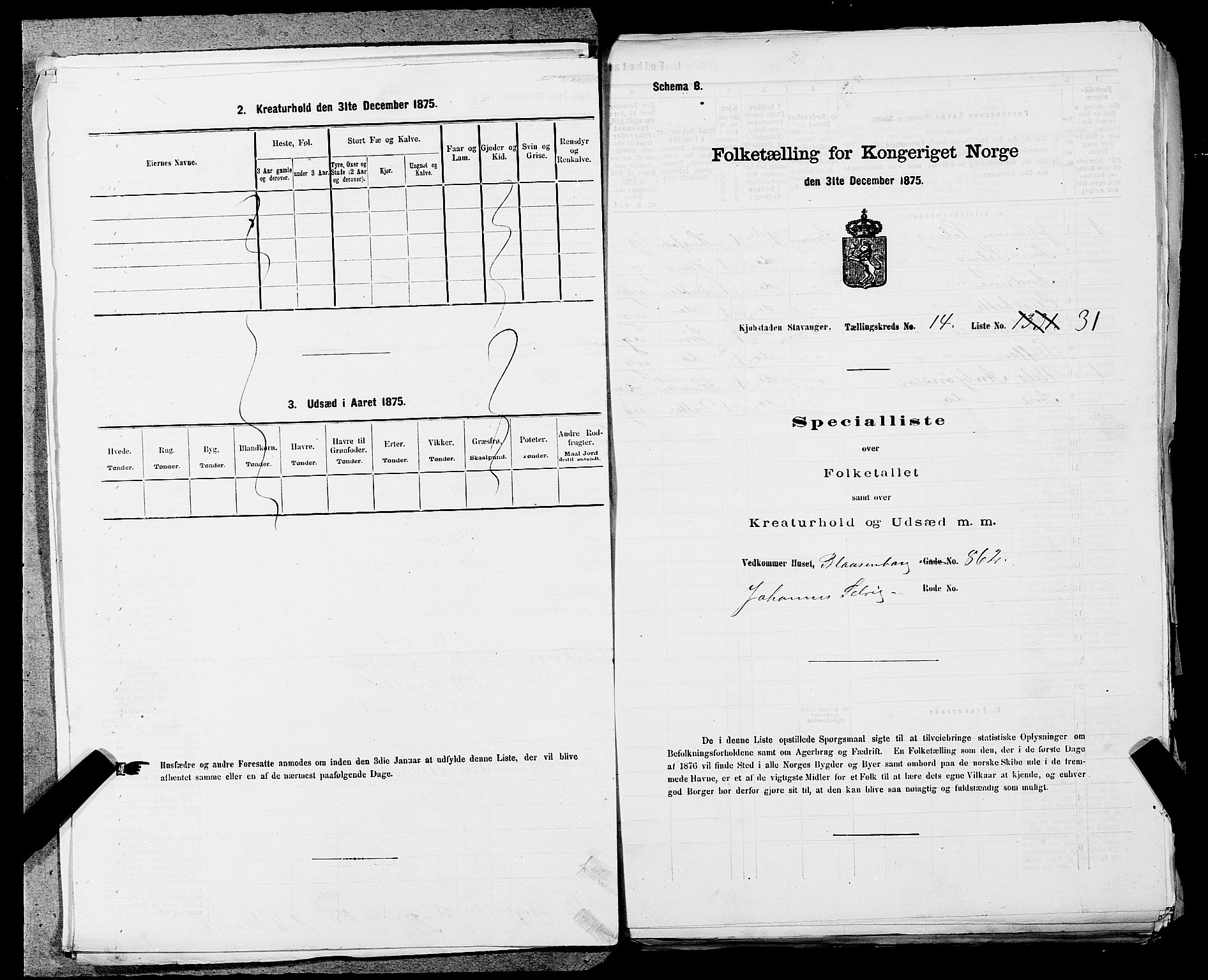 SAST, 1875 census for 1103 Stavanger, 1875, p. 2797