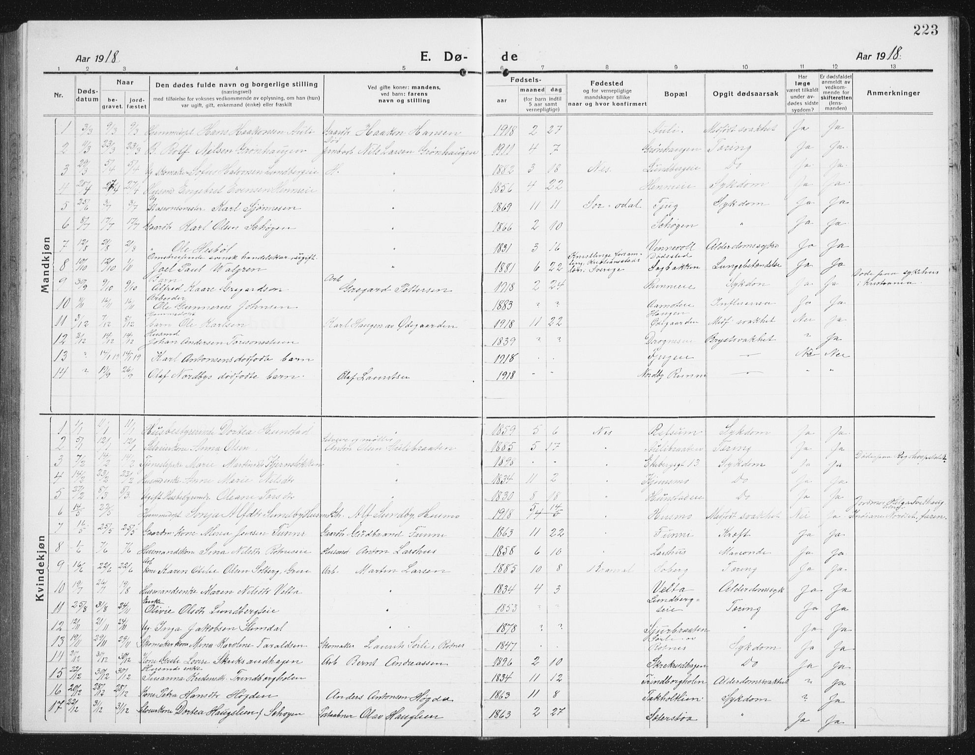 Nes prestekontor Kirkebøker, SAO/A-10410/G/Gc/L0002: Parish register (copy) no. III 2, 1915-1943, p. 223