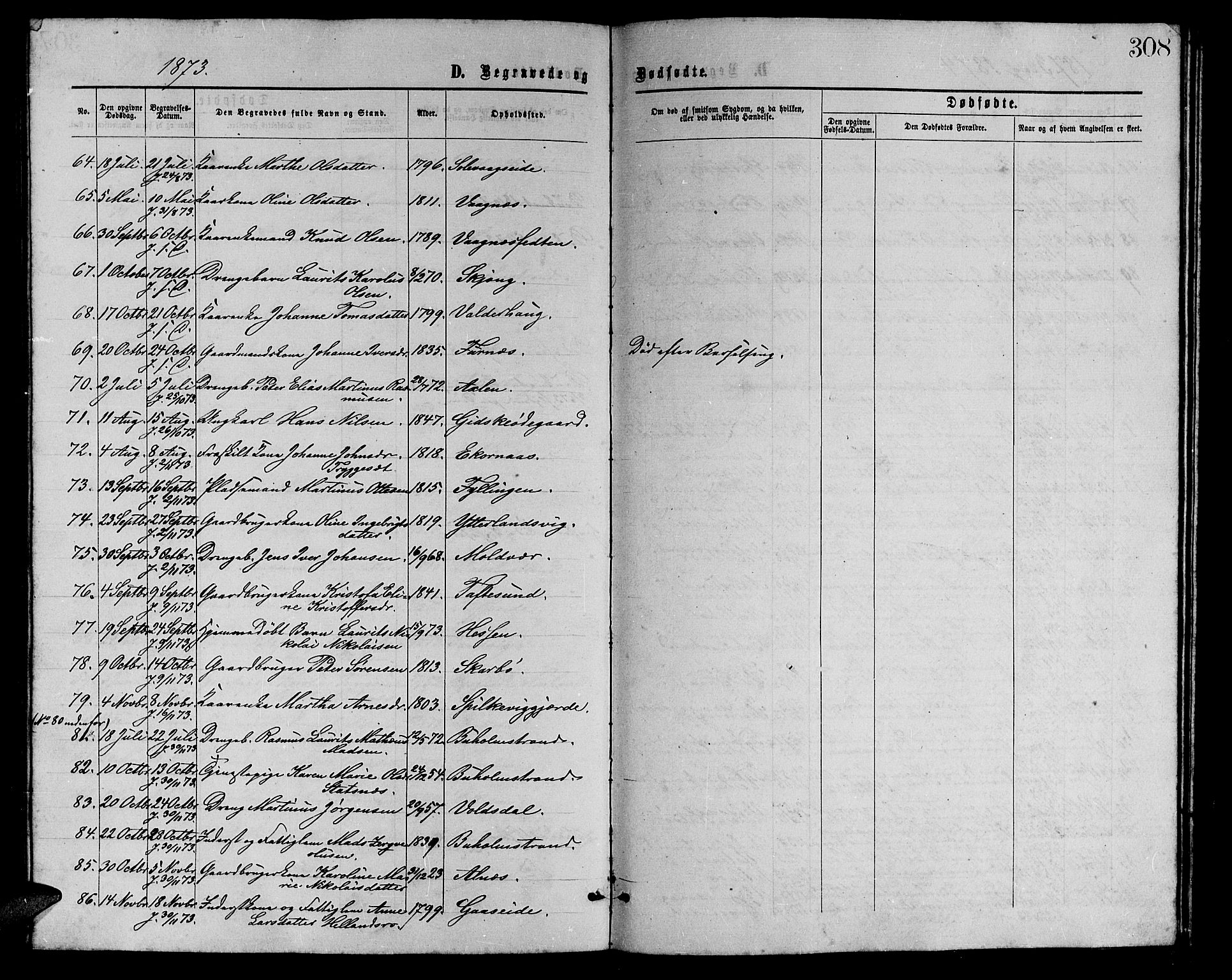 Ministerialprotokoller, klokkerbøker og fødselsregistre - Møre og Romsdal, AV/SAT-A-1454/528/L0428: Parish register (copy) no. 528C09, 1864-1880, p. 308