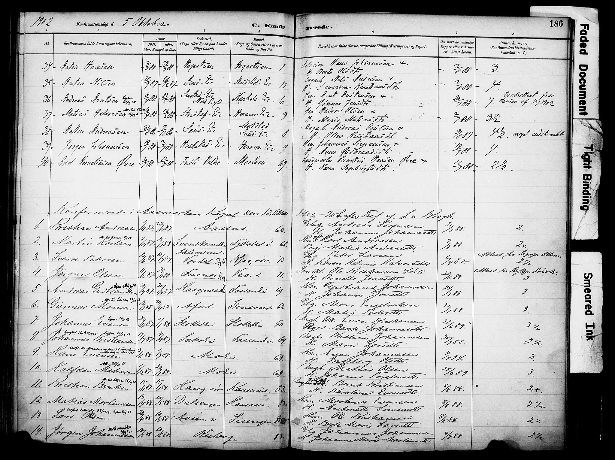 Ringsaker prestekontor, AV/SAH-PREST-014/K/Ka/L0017: Parish register (official) no. 17, 1891-1902, p. 186