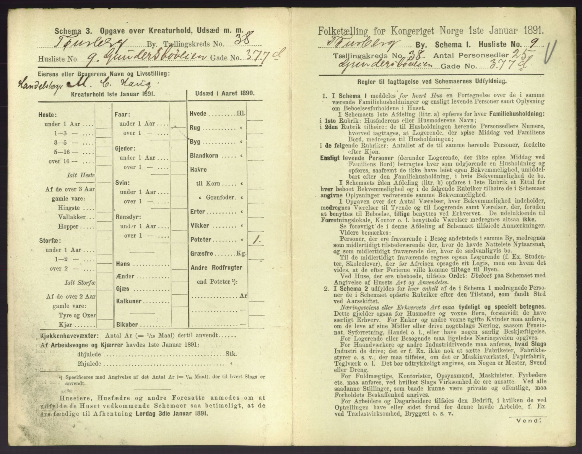 RA, 1891 census for 0705 Tønsberg, 1891, p. 1090