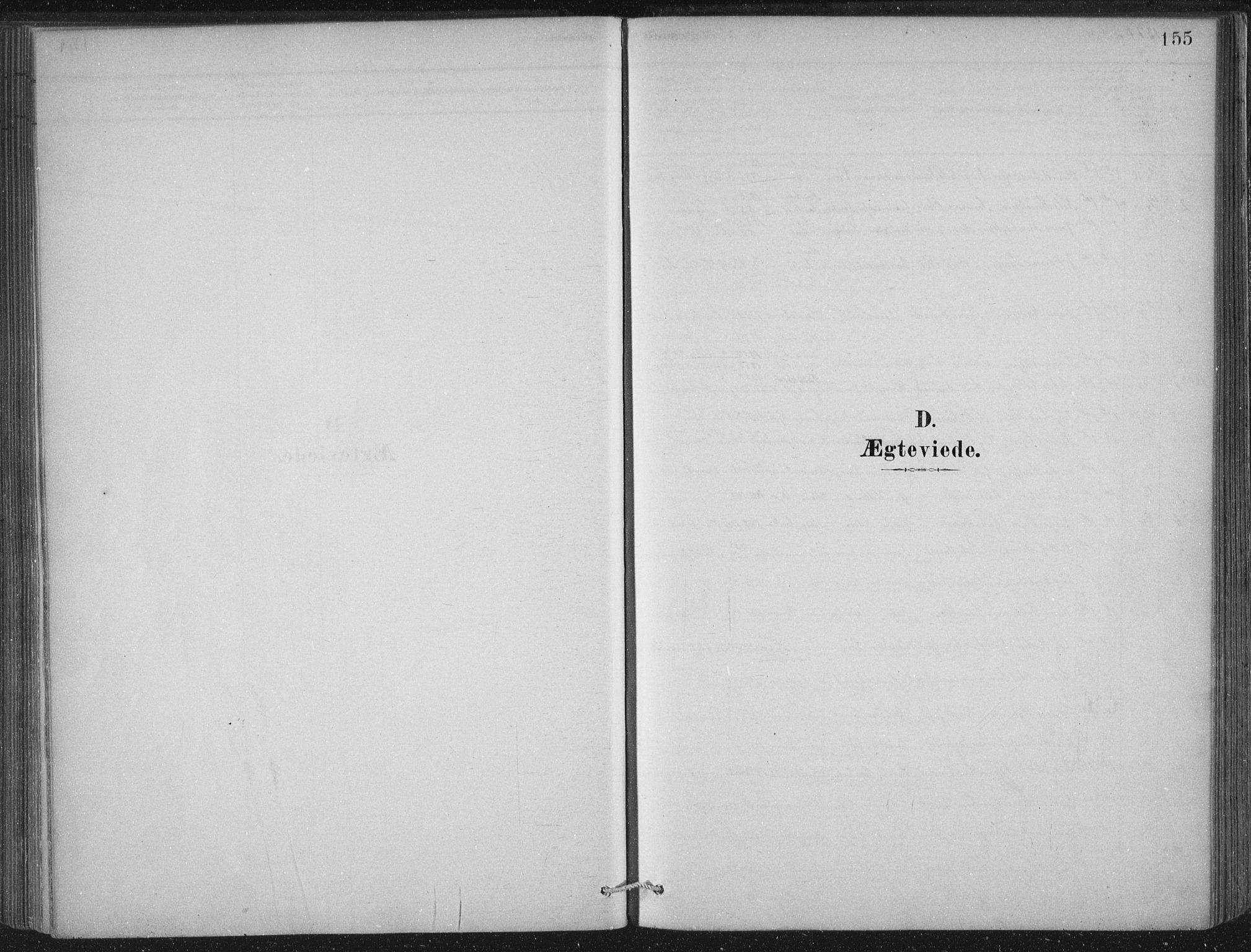 Lærdal sokneprestembete, SAB/A-81201: Parish register (official) no. D  1, 1878-1908, p. 155