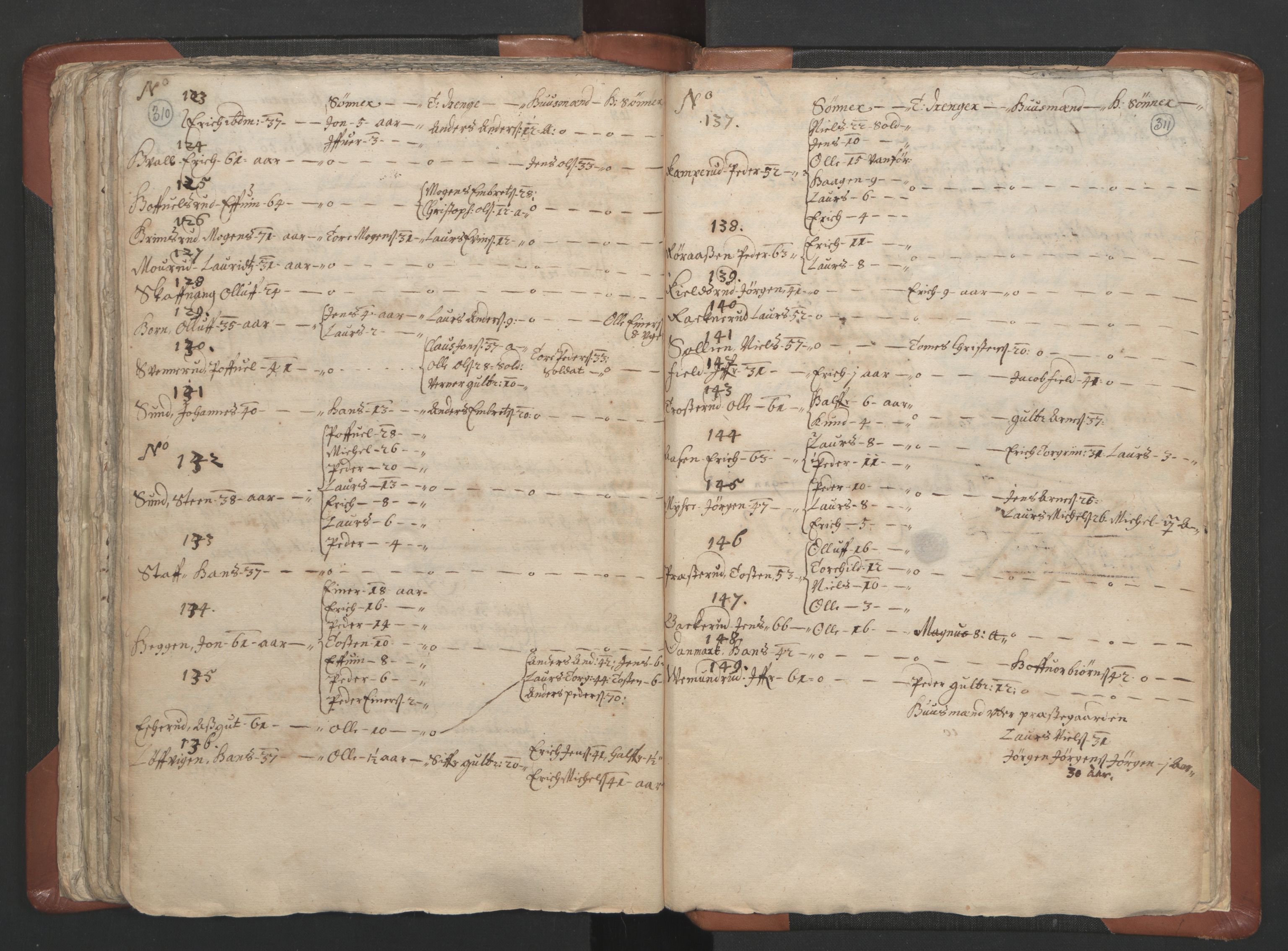 RA, Vicar's Census 1664-1666, no. 5: Hedmark deanery, 1664-1666, p. 310-311