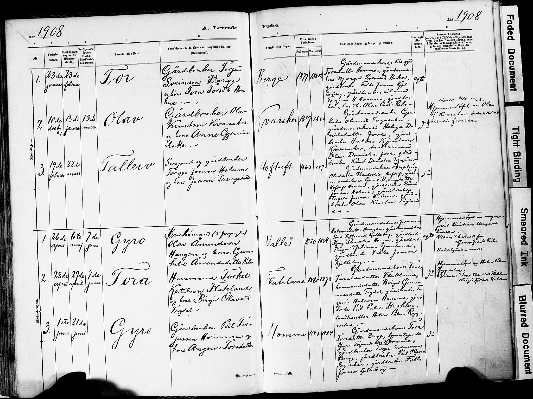 Valle sokneprestkontor, AV/SAK-1111-0044/F/Fa/Fac/L0009: Parish register (official) no. A 9, 1882-1913, p. 75